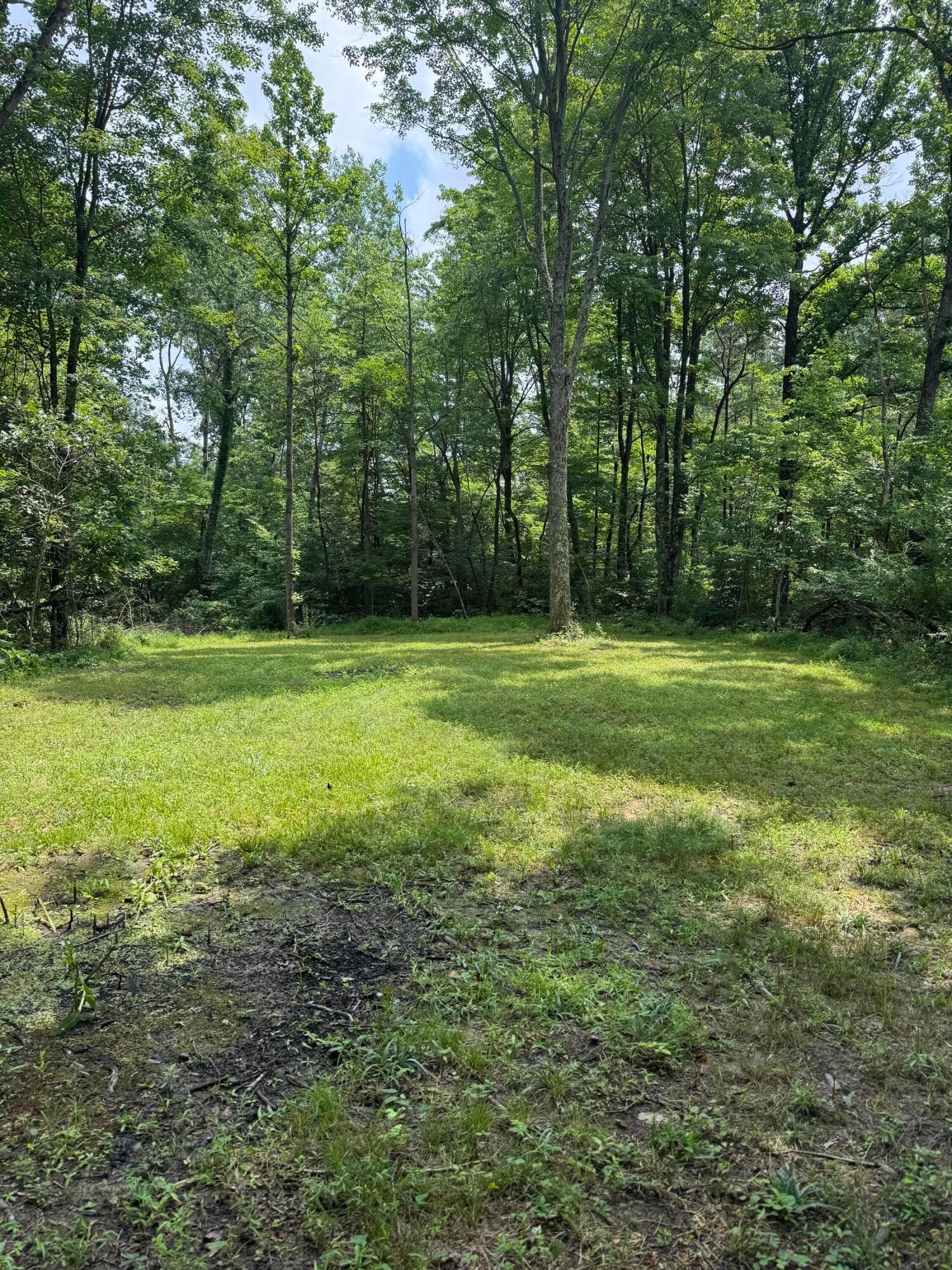 15091 Purdum Road Property Photo 37