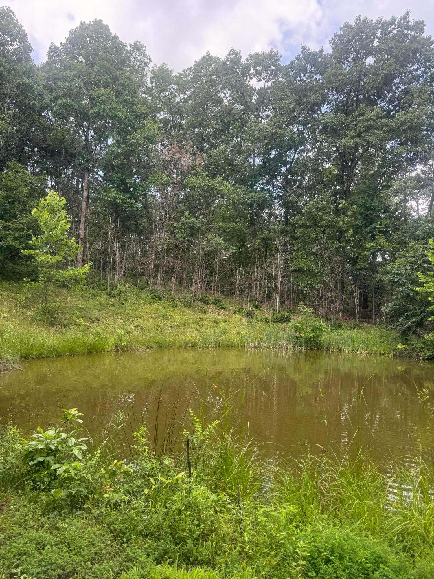 15091 Purdum Road Property Photo 39
