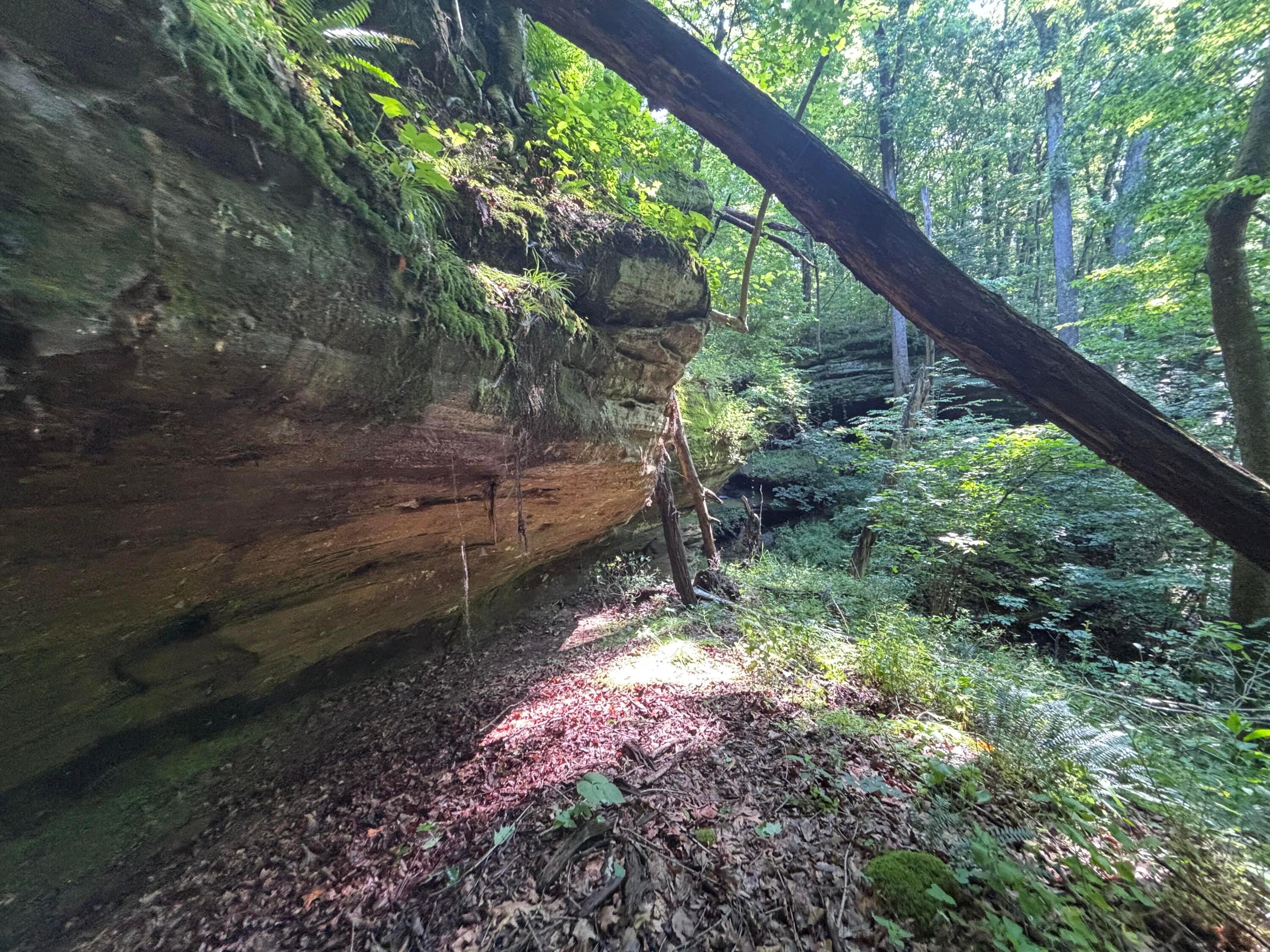 0 Cliff Property Photo 3