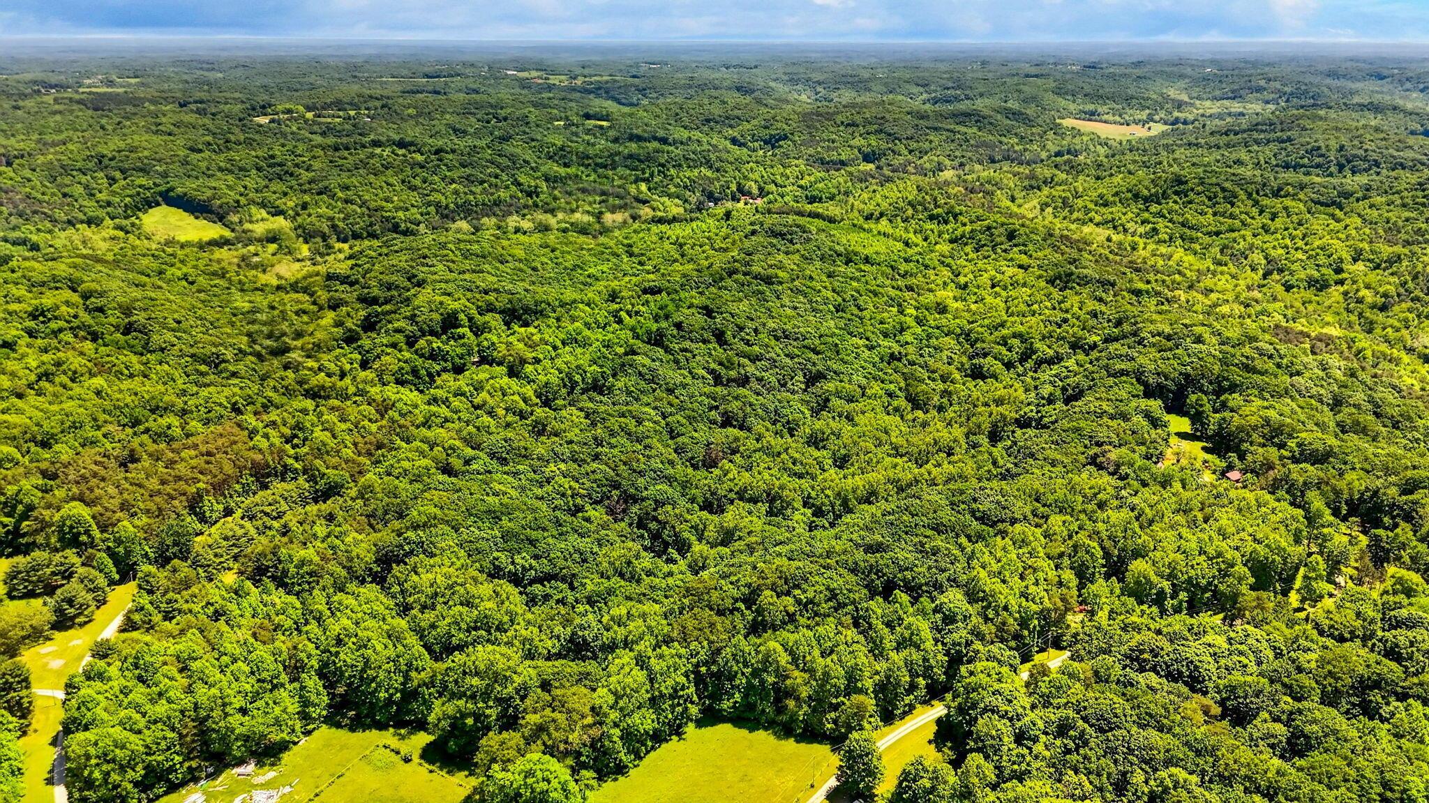0 Cliff Property Photo 11