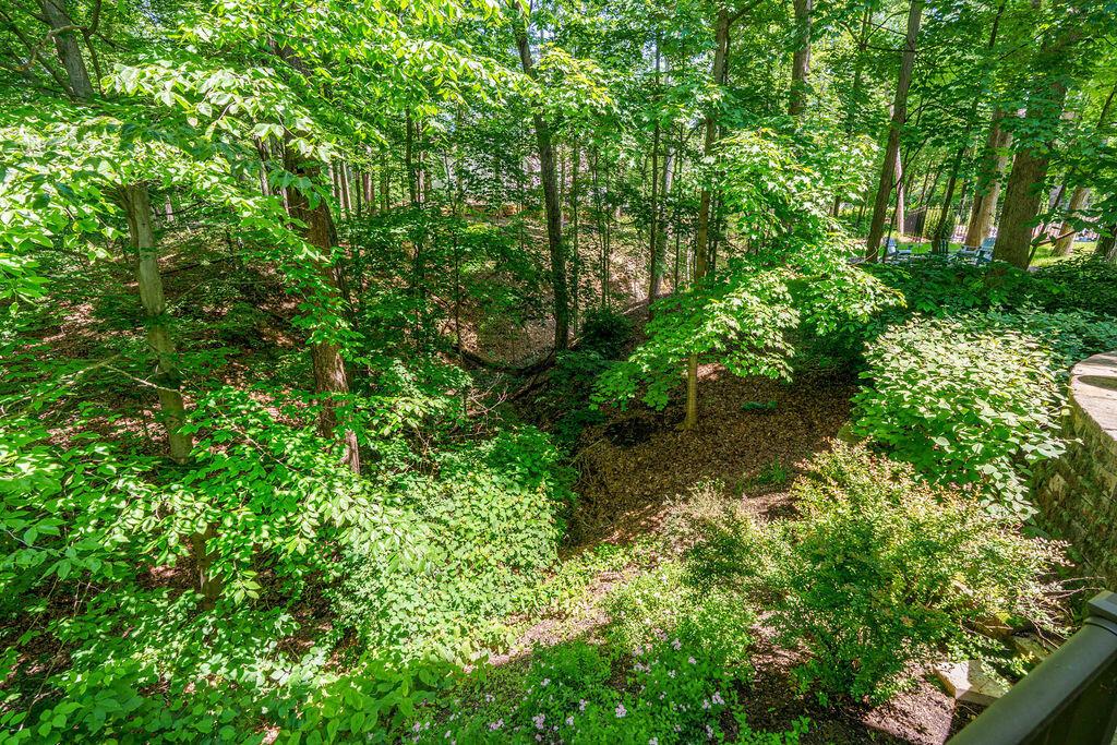 8382 Deep Run Property Photo 80