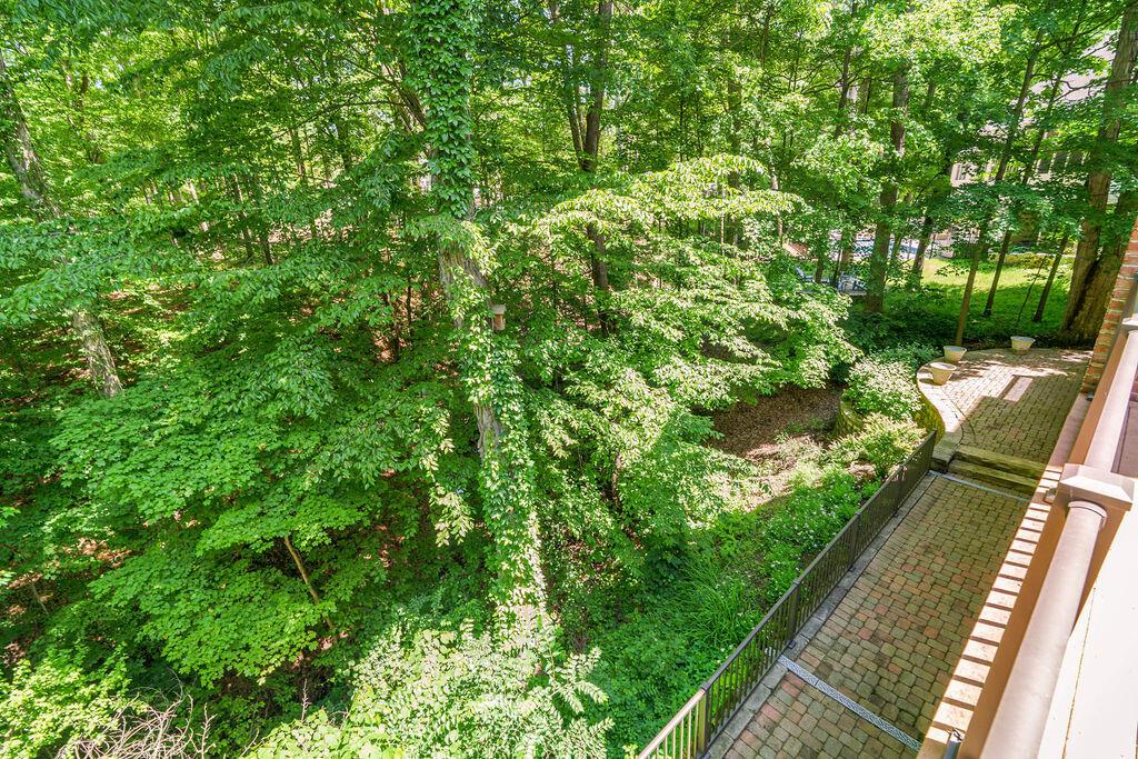 8382 Deep Run Property Photo 83