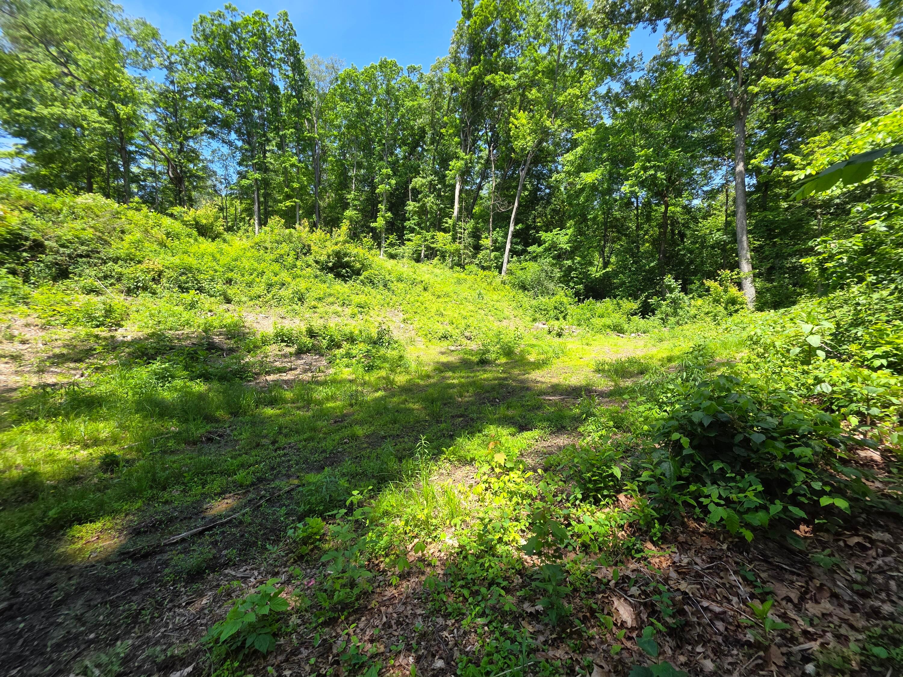 513 Ross Road Se Property Photo 3