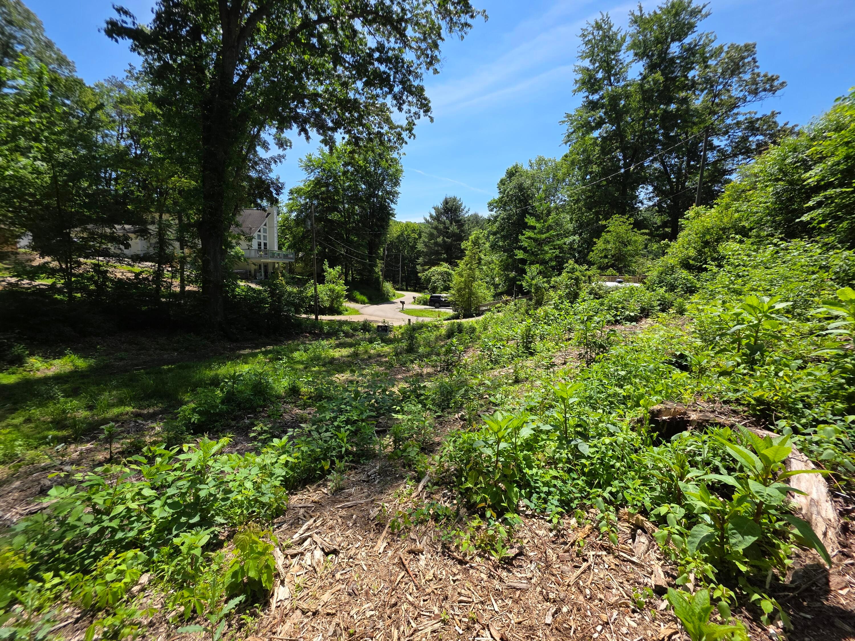 513 Ross Road Se Property Photo 4