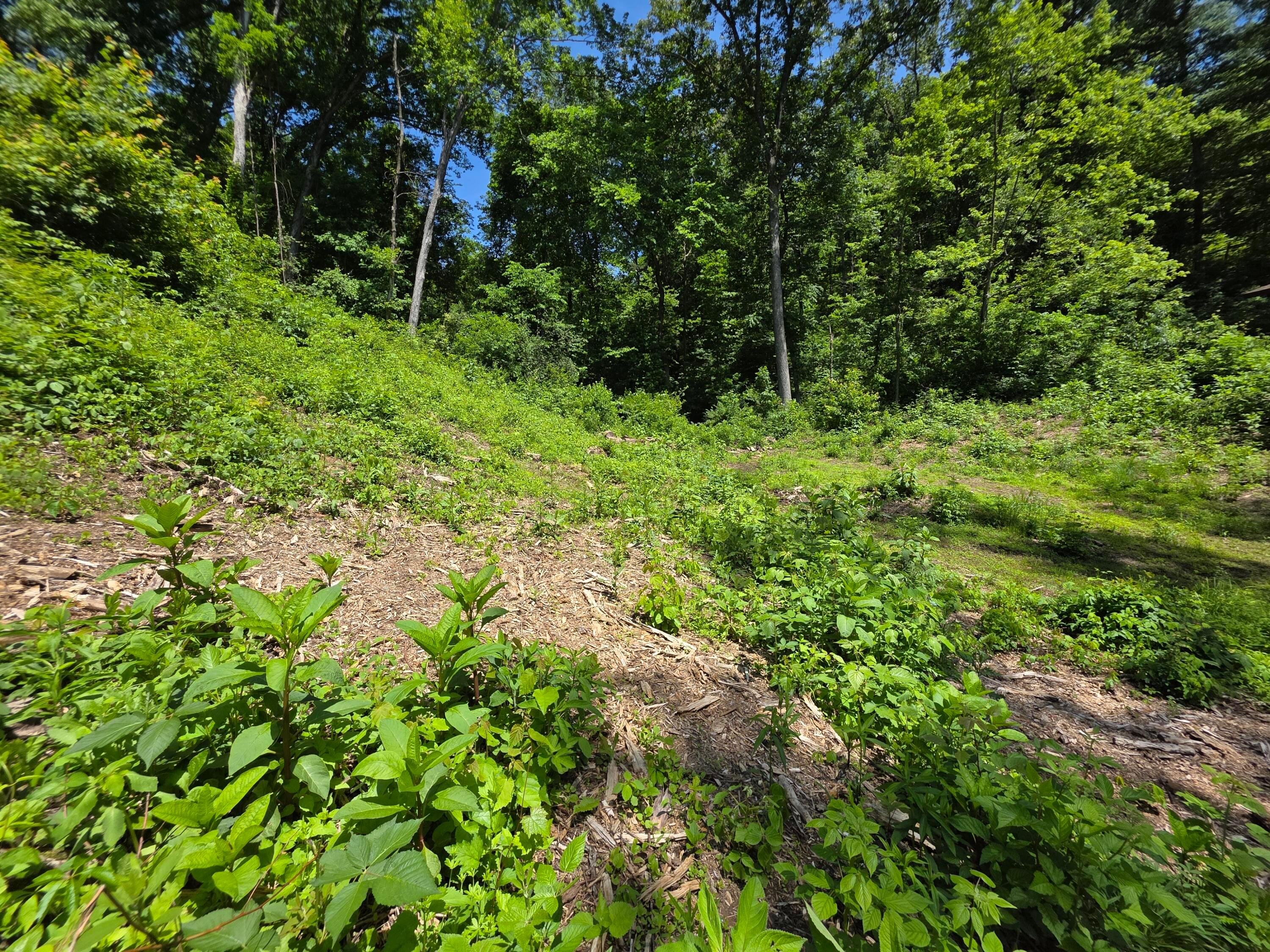 513 Ross Road Se Property Photo 5