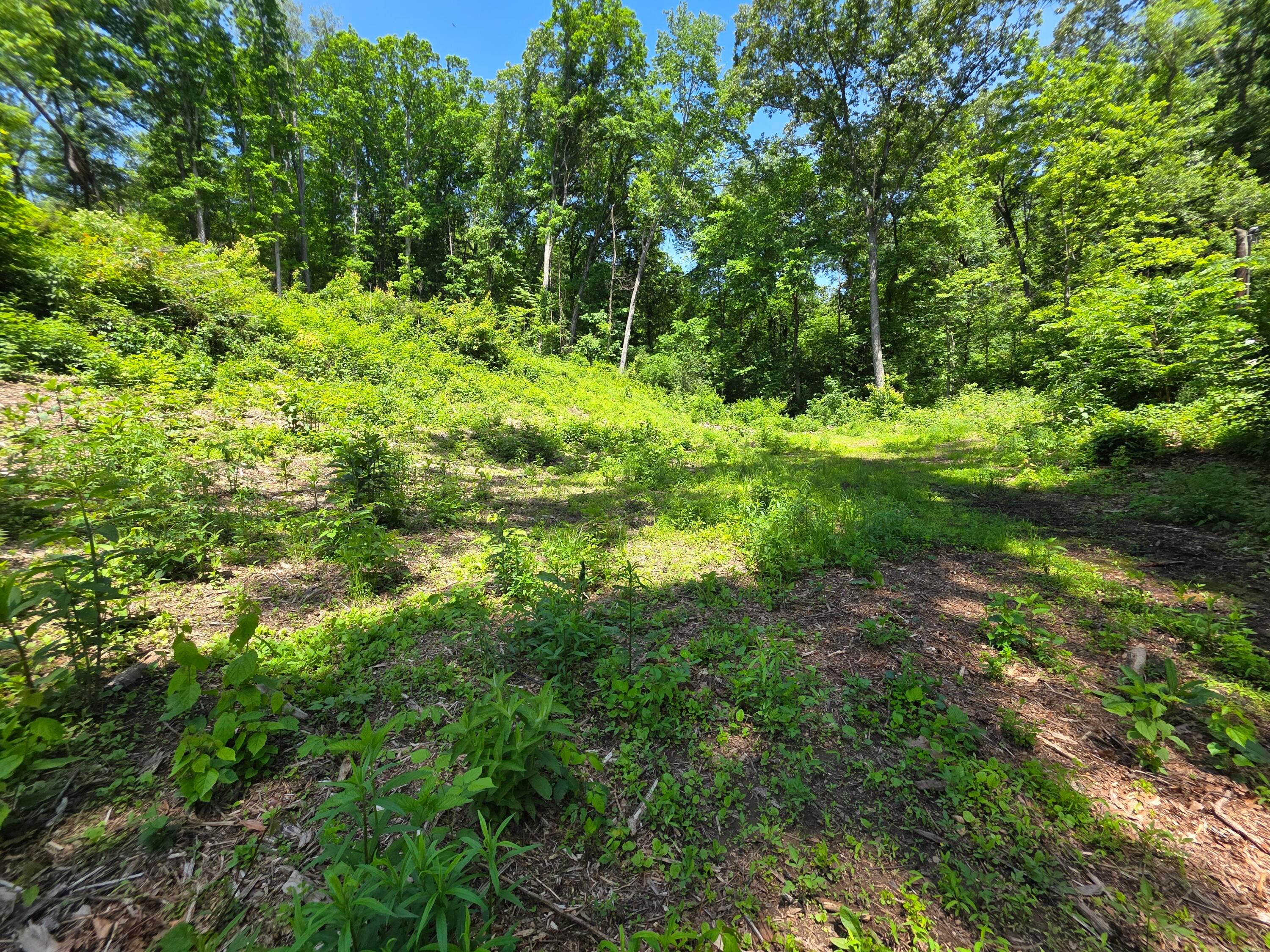 513 Ross Road Se Property Photo 9