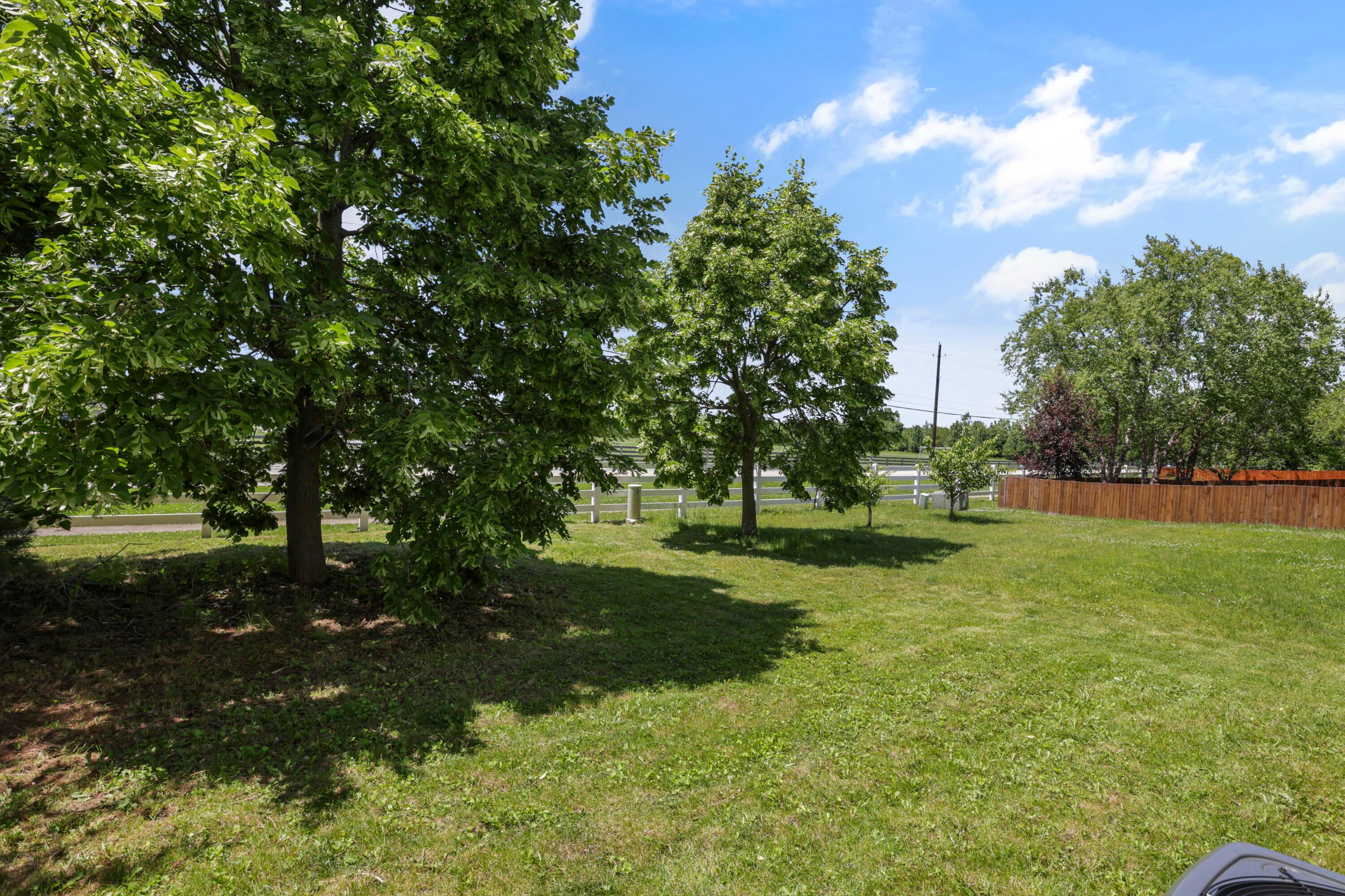 2117 Ripple Road Property Photo 16