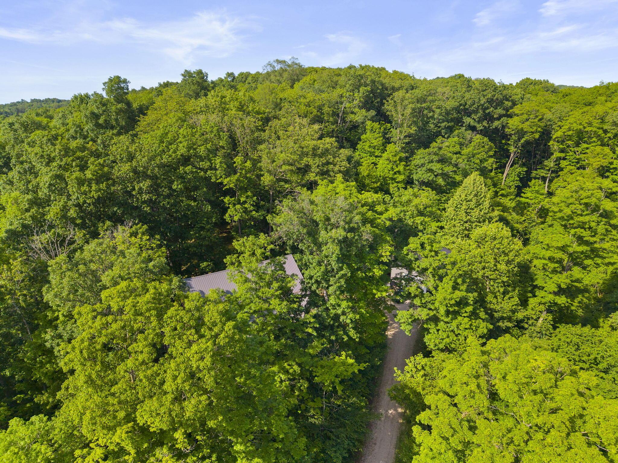 3376 Dry Run Road Property Photo 9