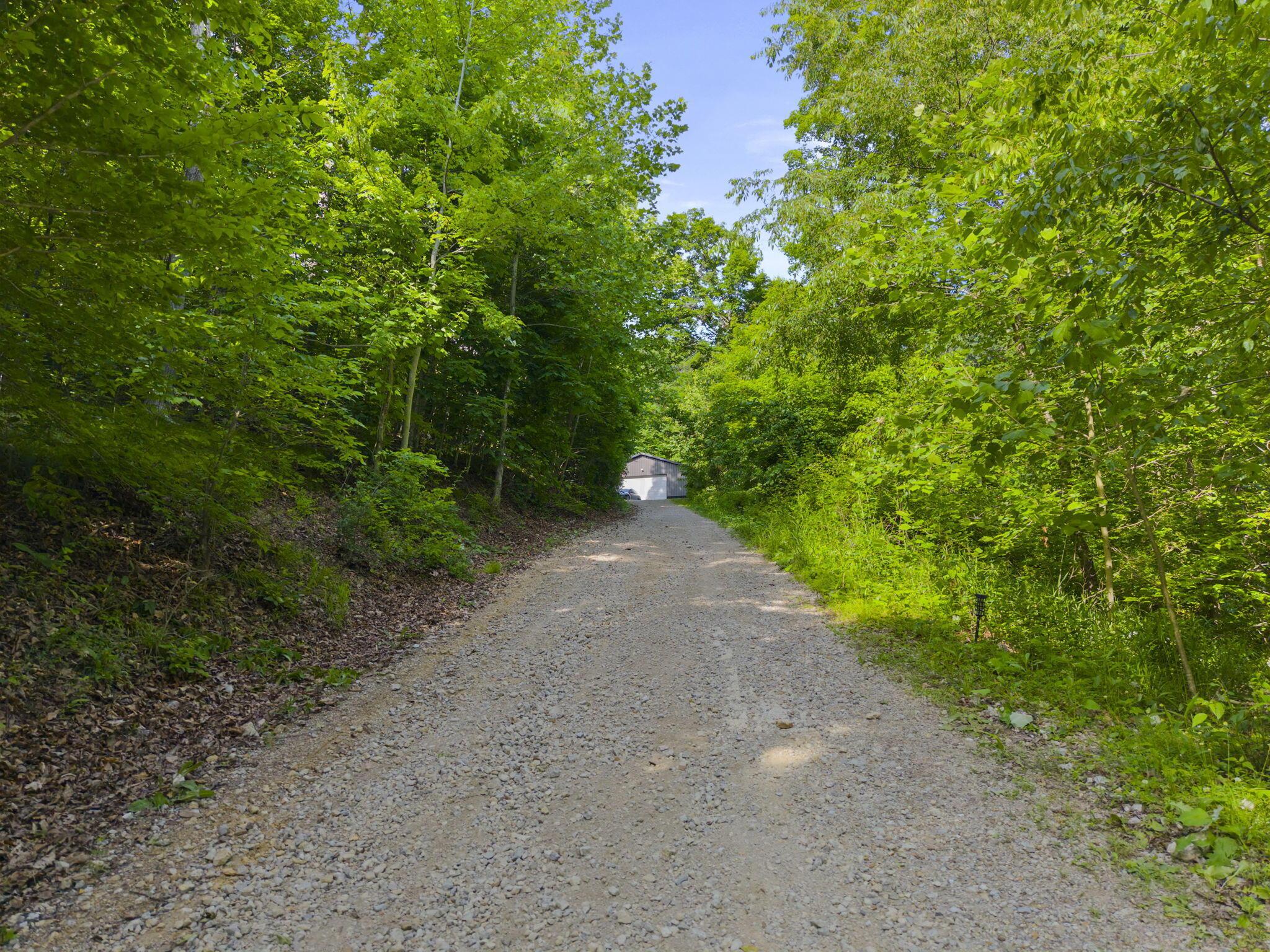 3376 Dry Run Road Property Photo 11
