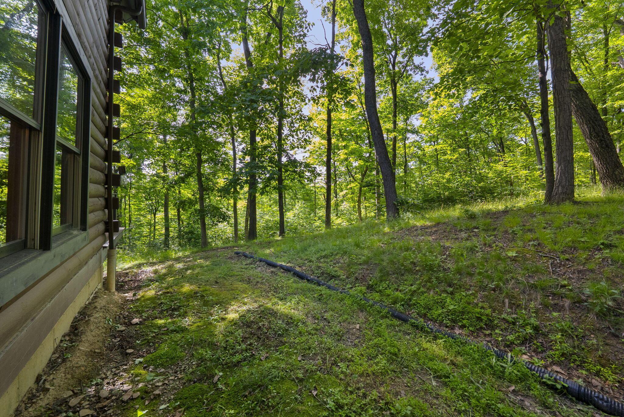3376 Dry Run Road Property Photo 74