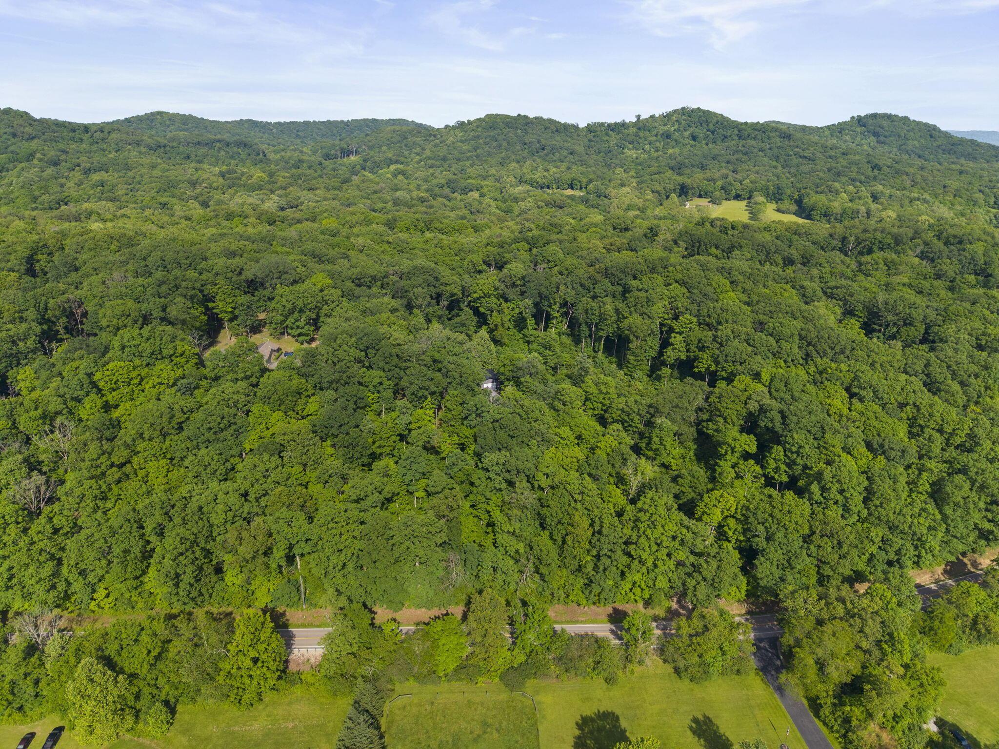 3376 Dry Run Road Property Photo 81