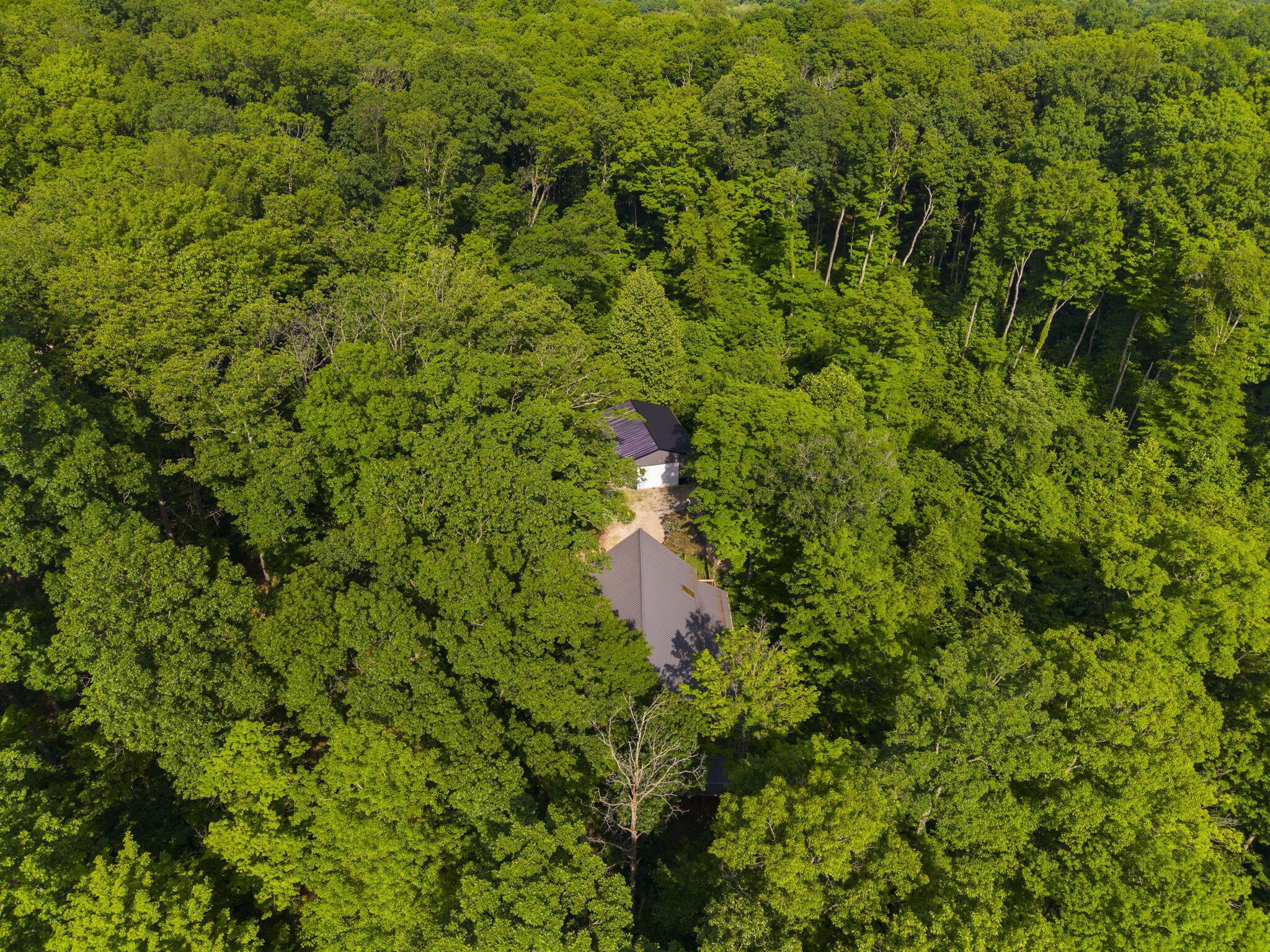 3376 Dry Run Road Property Photo 85