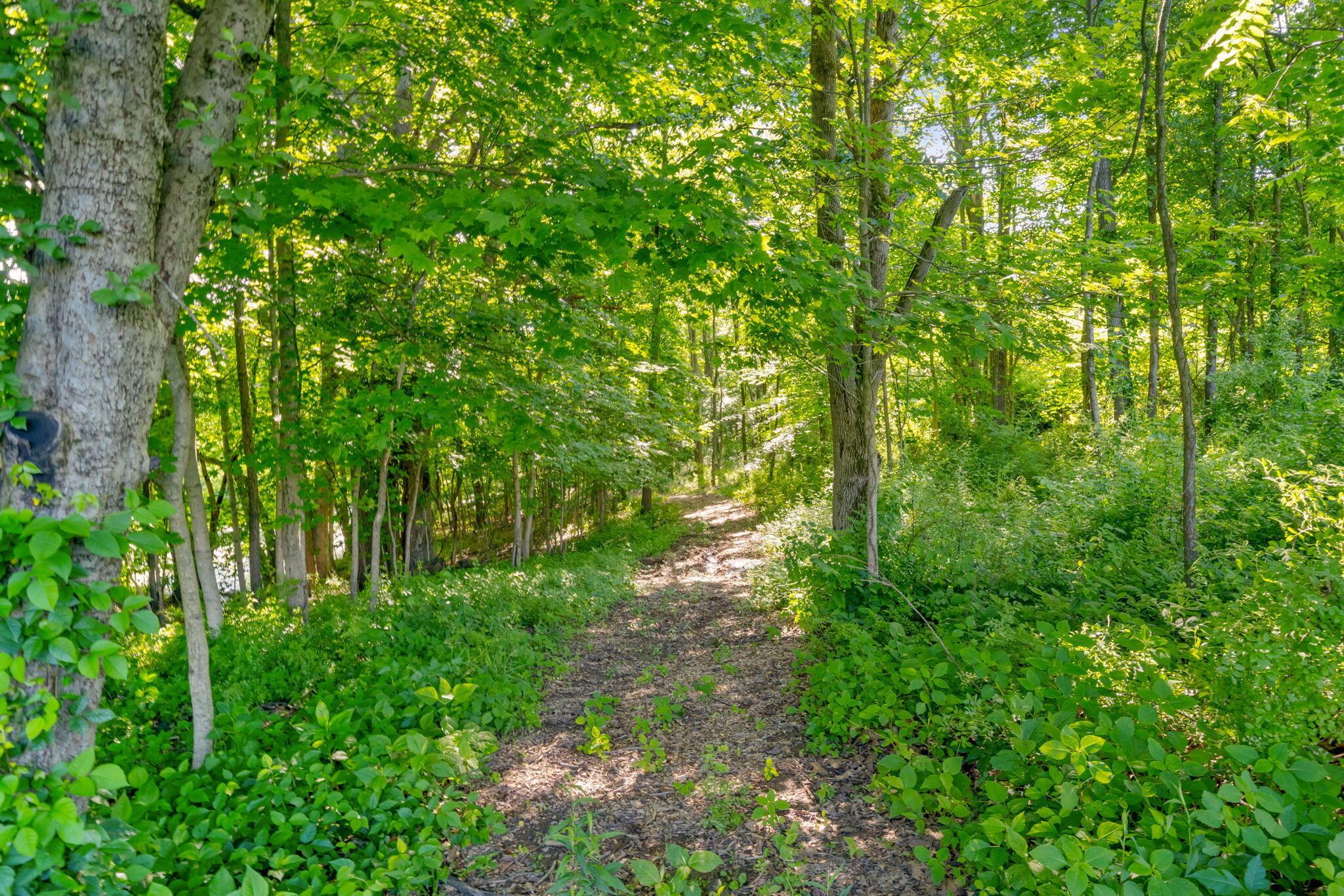 5516 Lancaster Road Property Photo 101