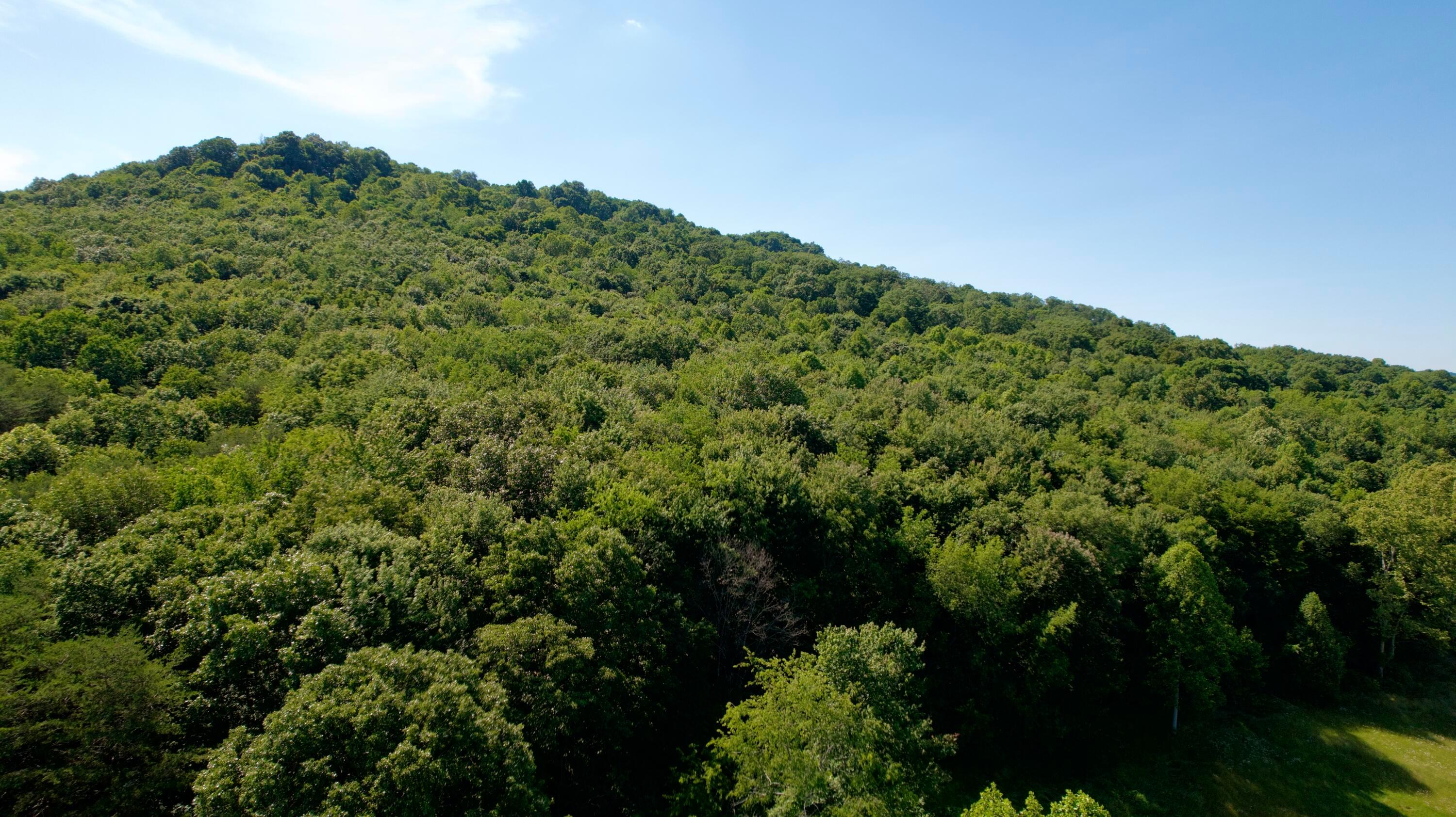 0 State Route 104 Property Photo 1
