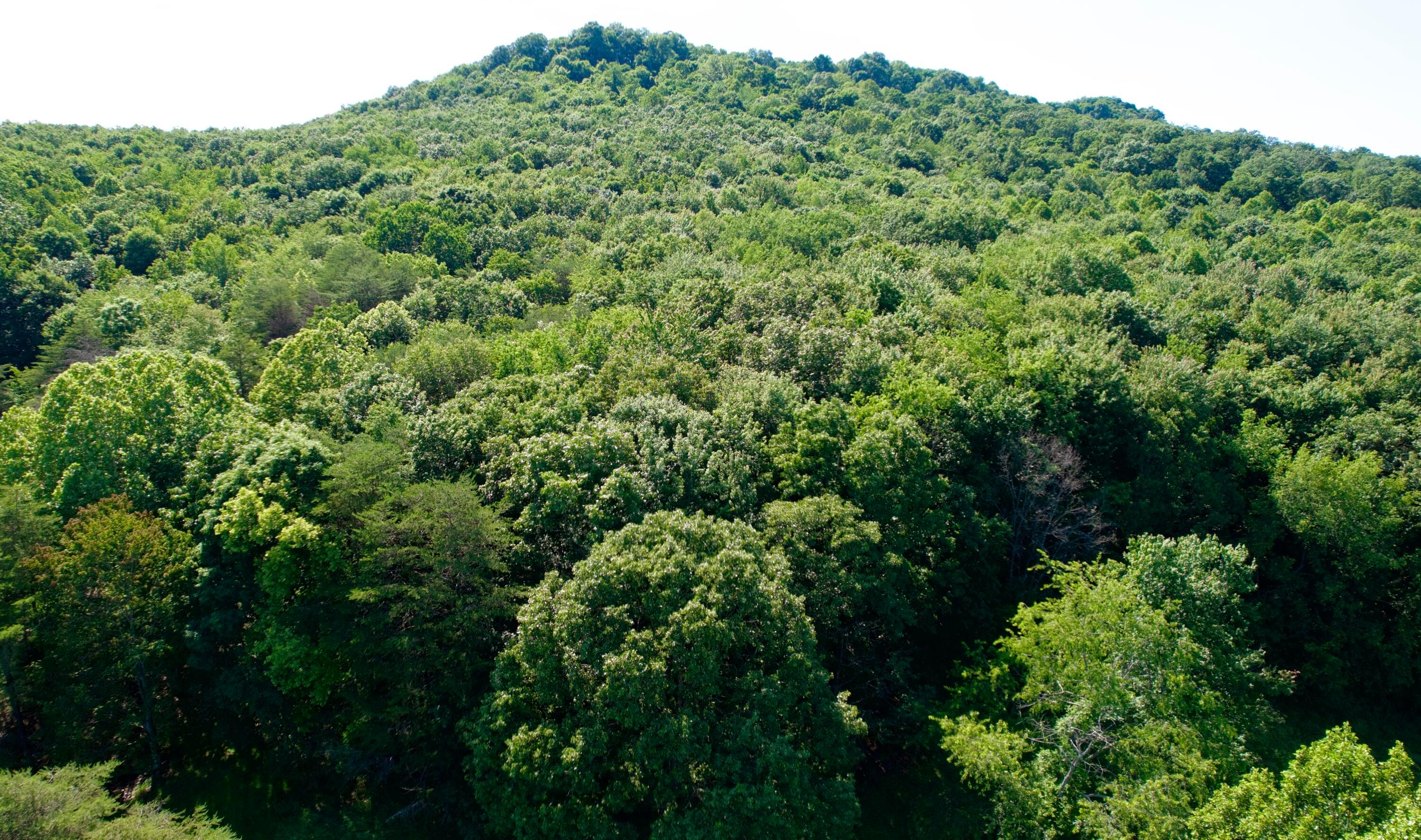 0 State Route 104 Property Photo 5