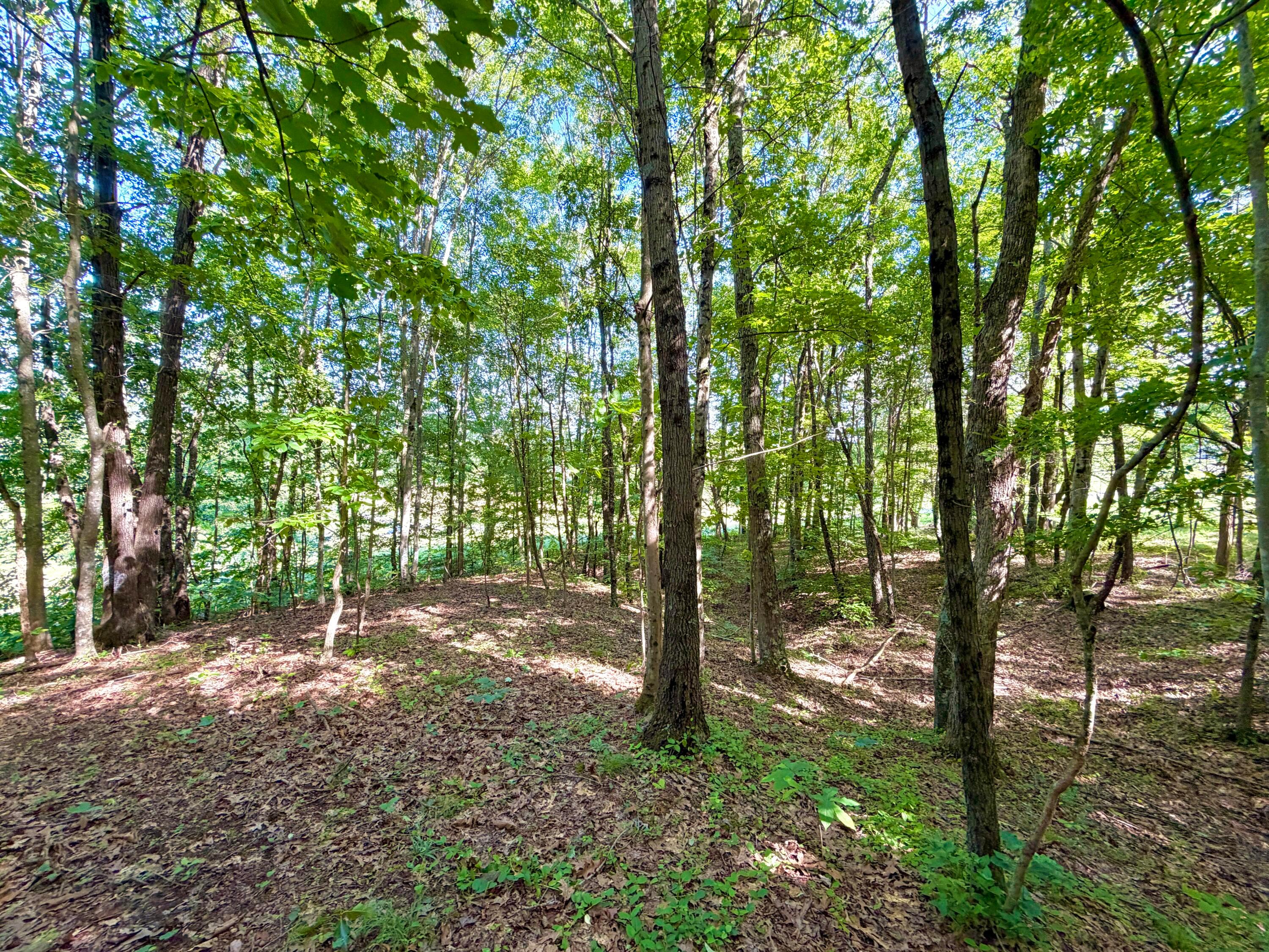 0 State Route 104 Property Photo 8