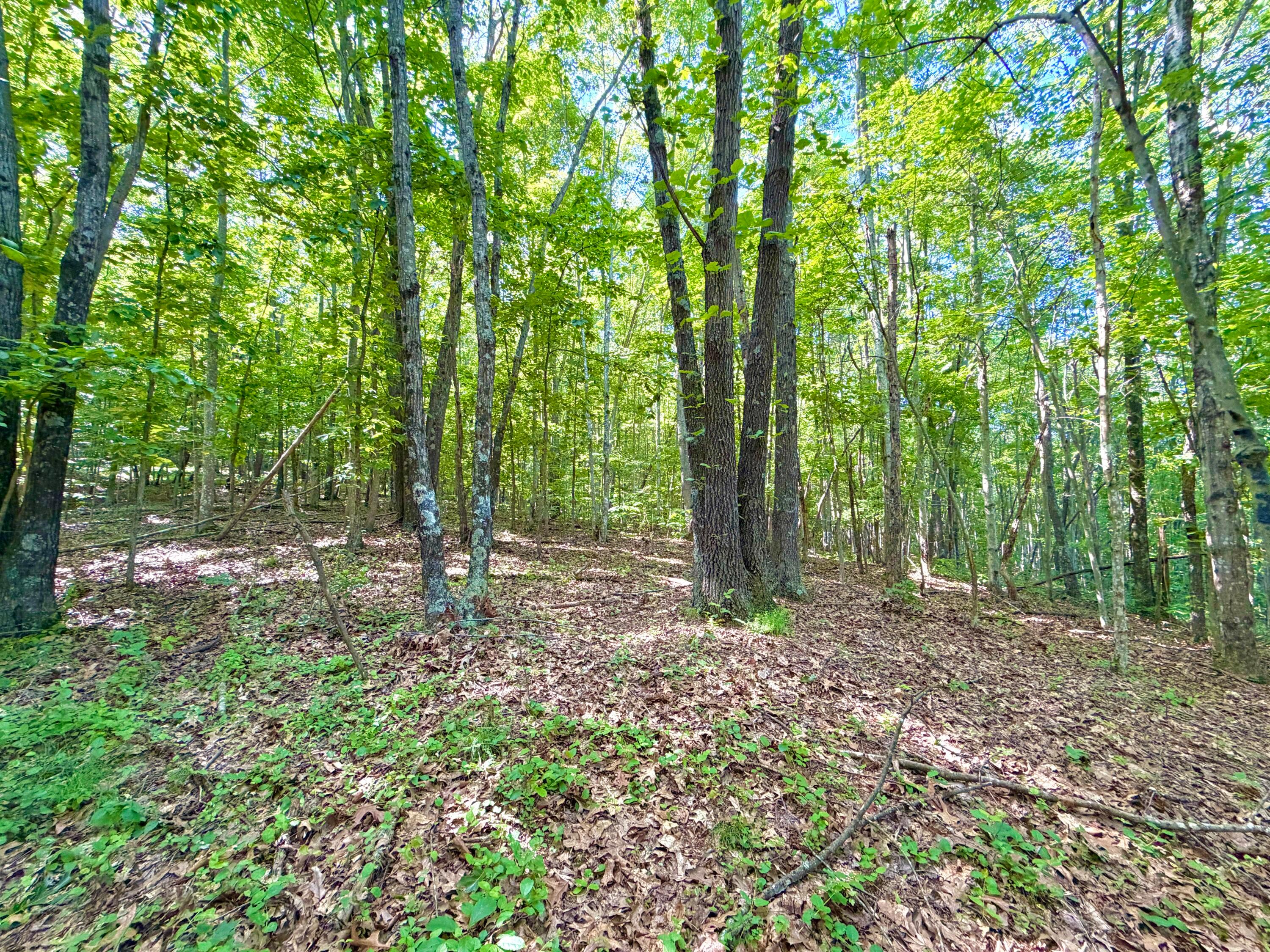 0 State Route 104 Property Photo 9