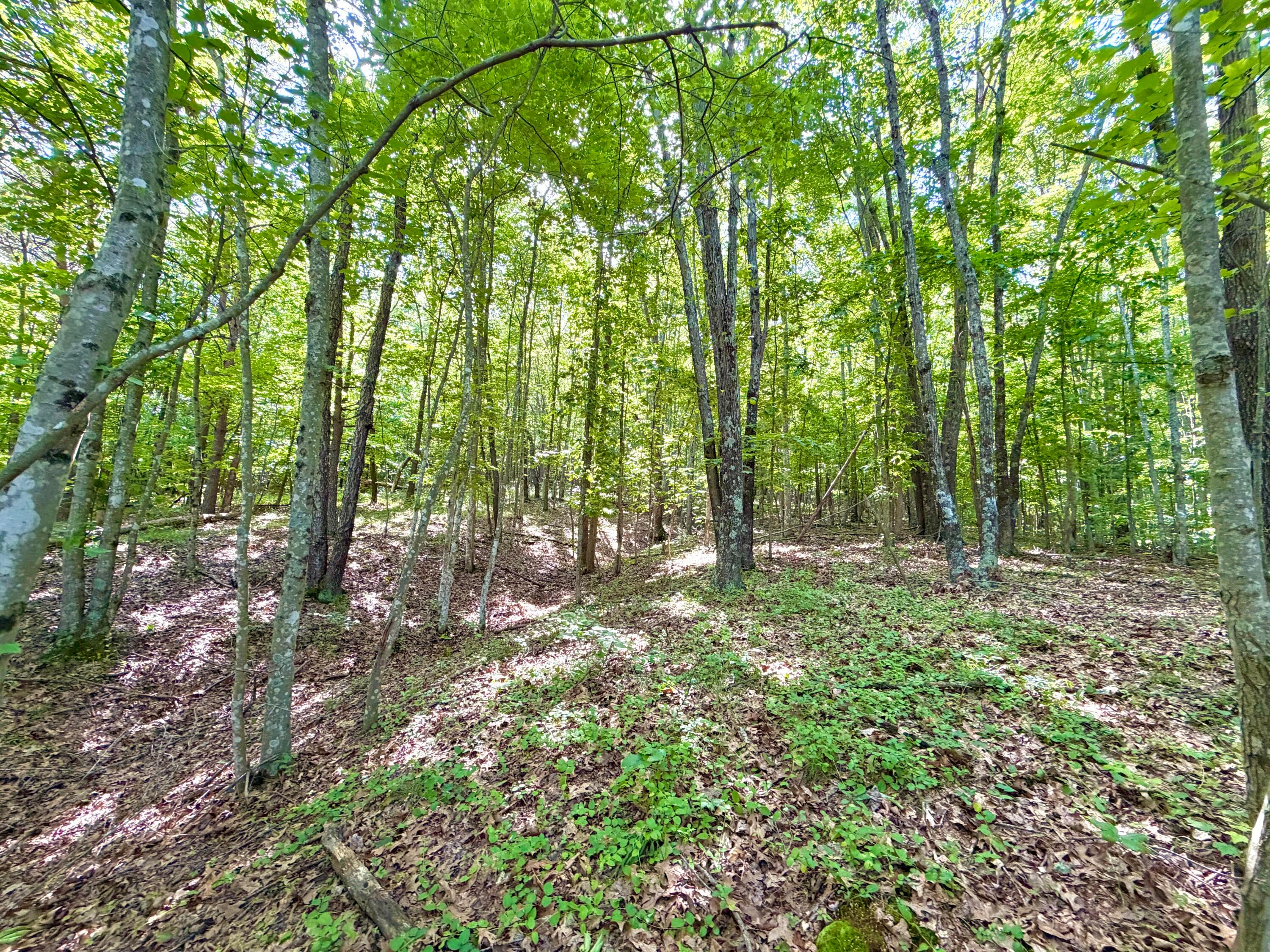 0 State Route 104 Property Photo 10