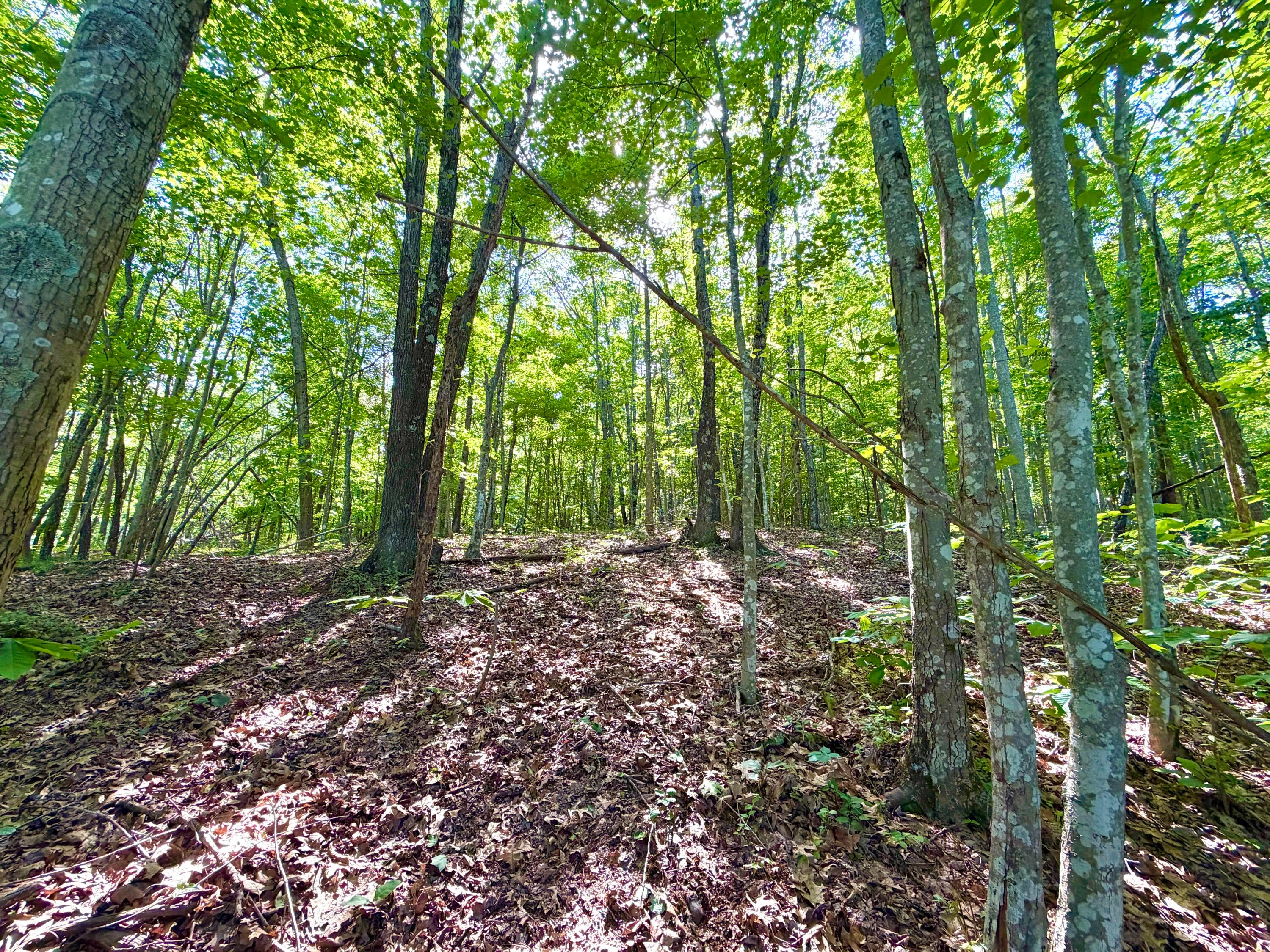 0 State Route 104 Property Photo 11