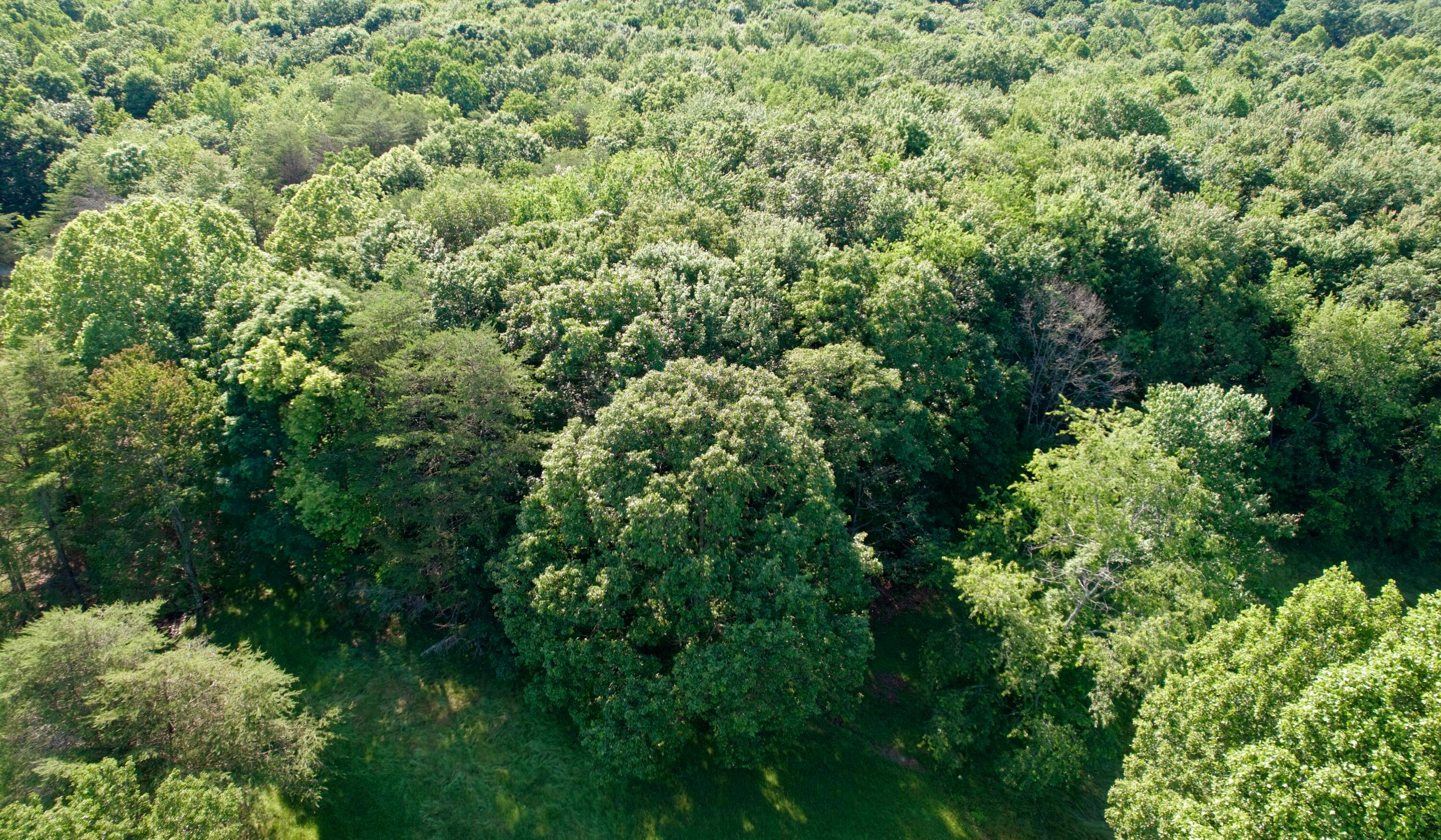 0 State Route 104 Property Photo 16