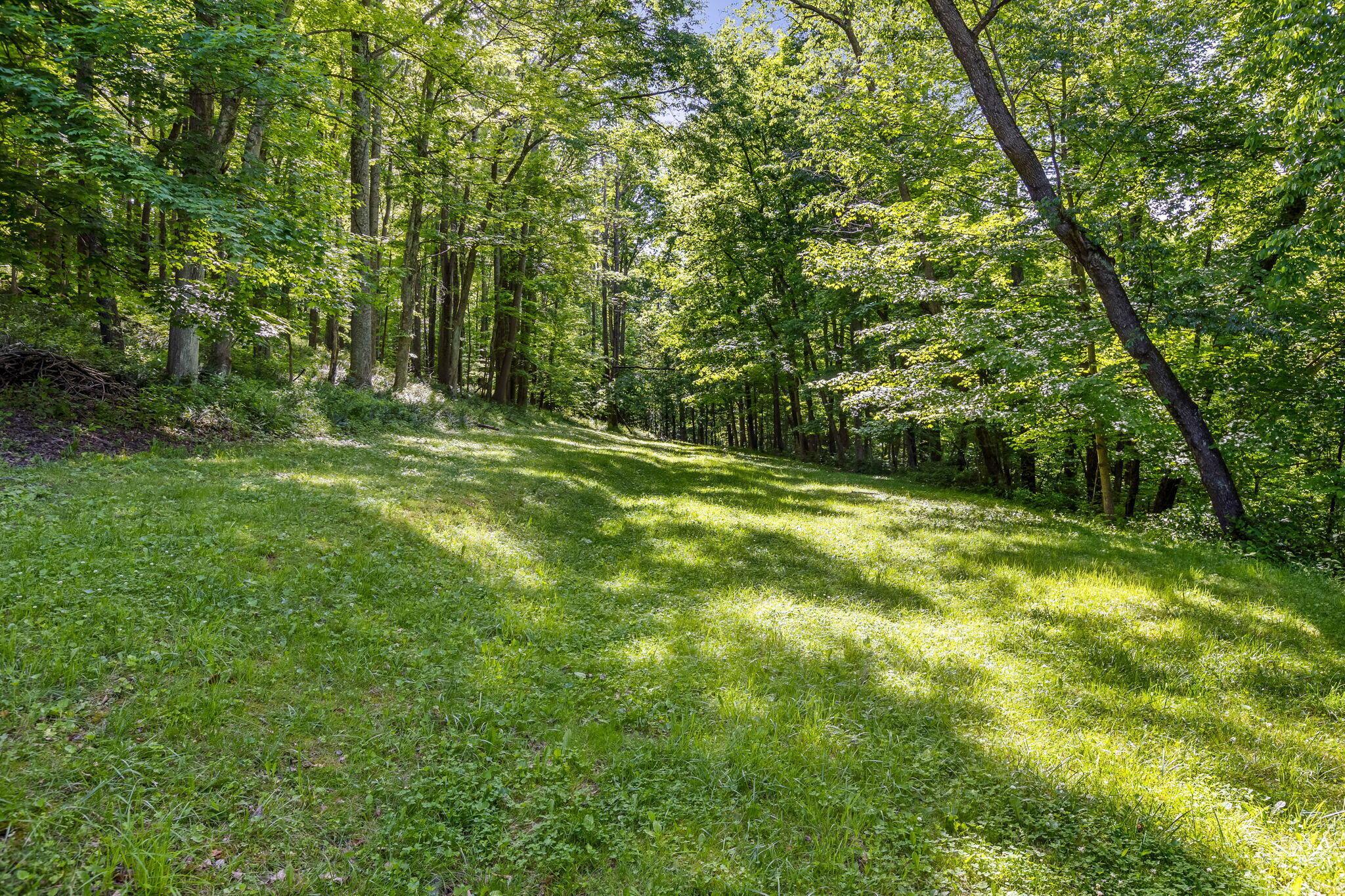 7929 State Route 664 N Property Photo 22