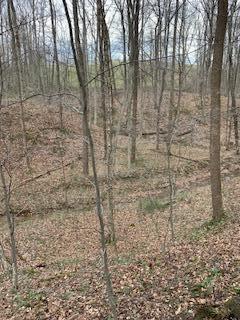 7929 State Route 664 N Property Photo 70