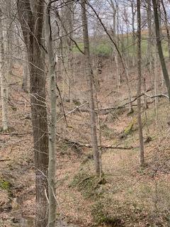 7929 State Route 664 N Property Photo 71