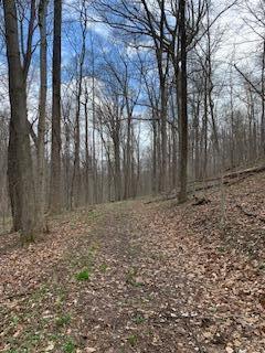 7929 State Route 664 N Property Photo 72