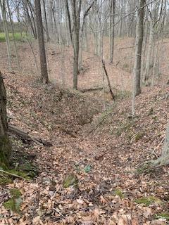 7929 State Route 664 N Property Photo 74