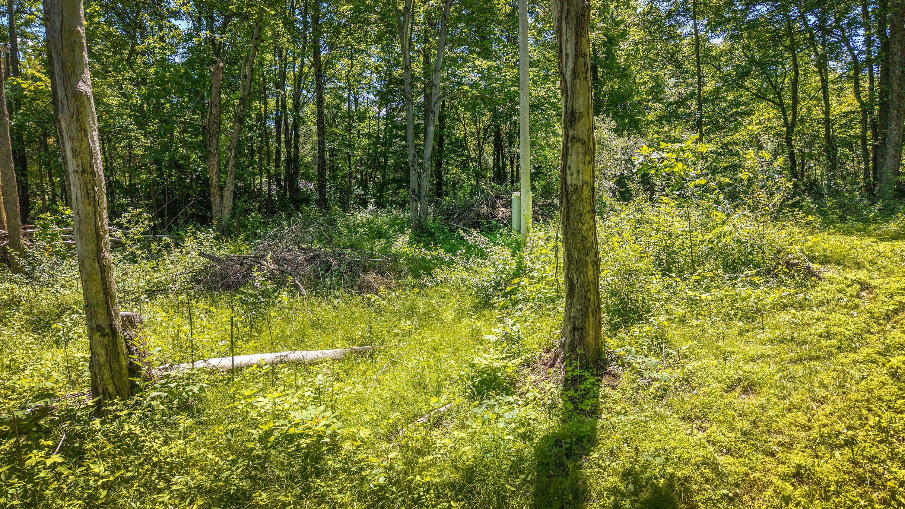 19703 Township Road 76b Property Photo 4