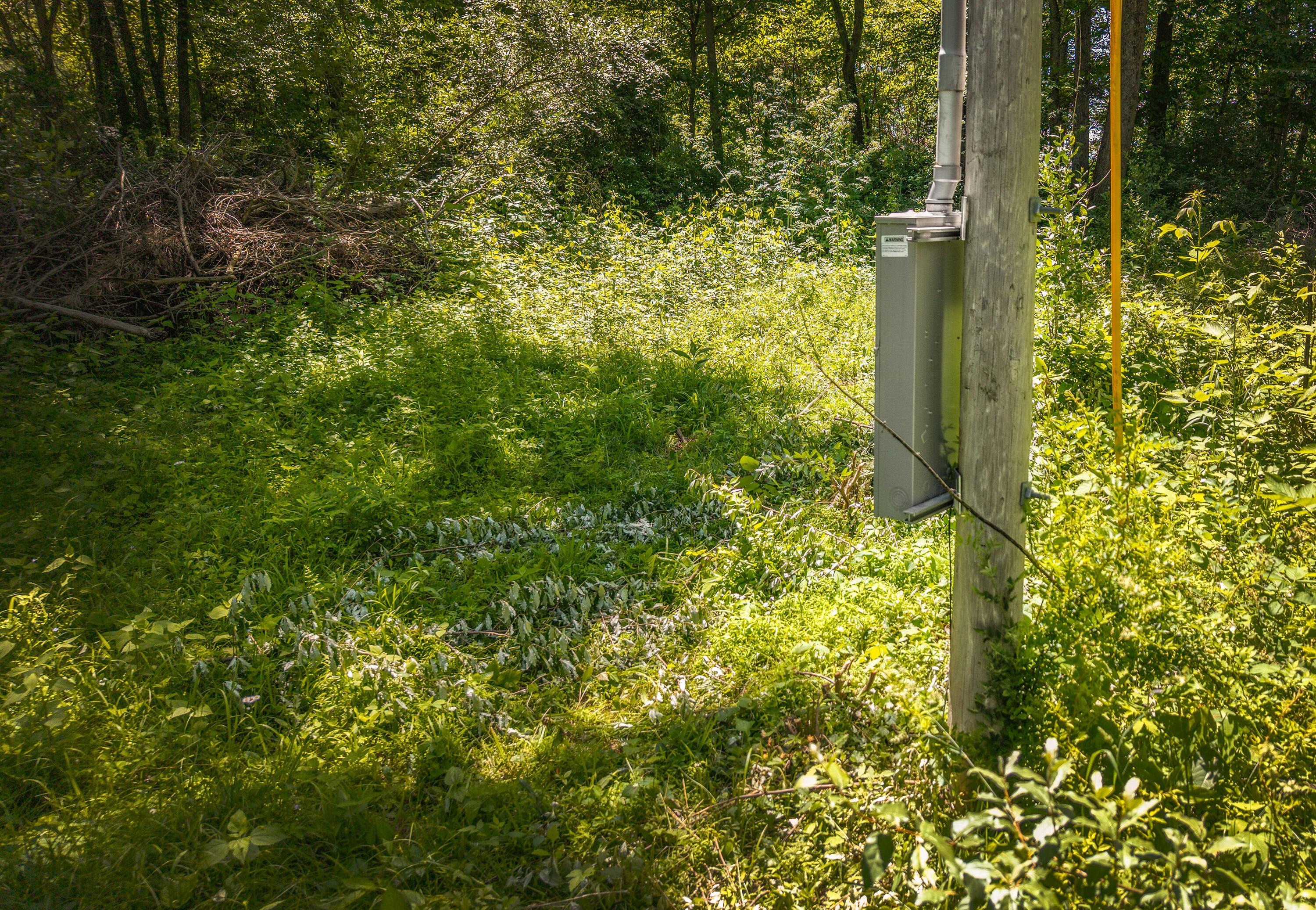 19703 Township Road 76b Property Photo 5