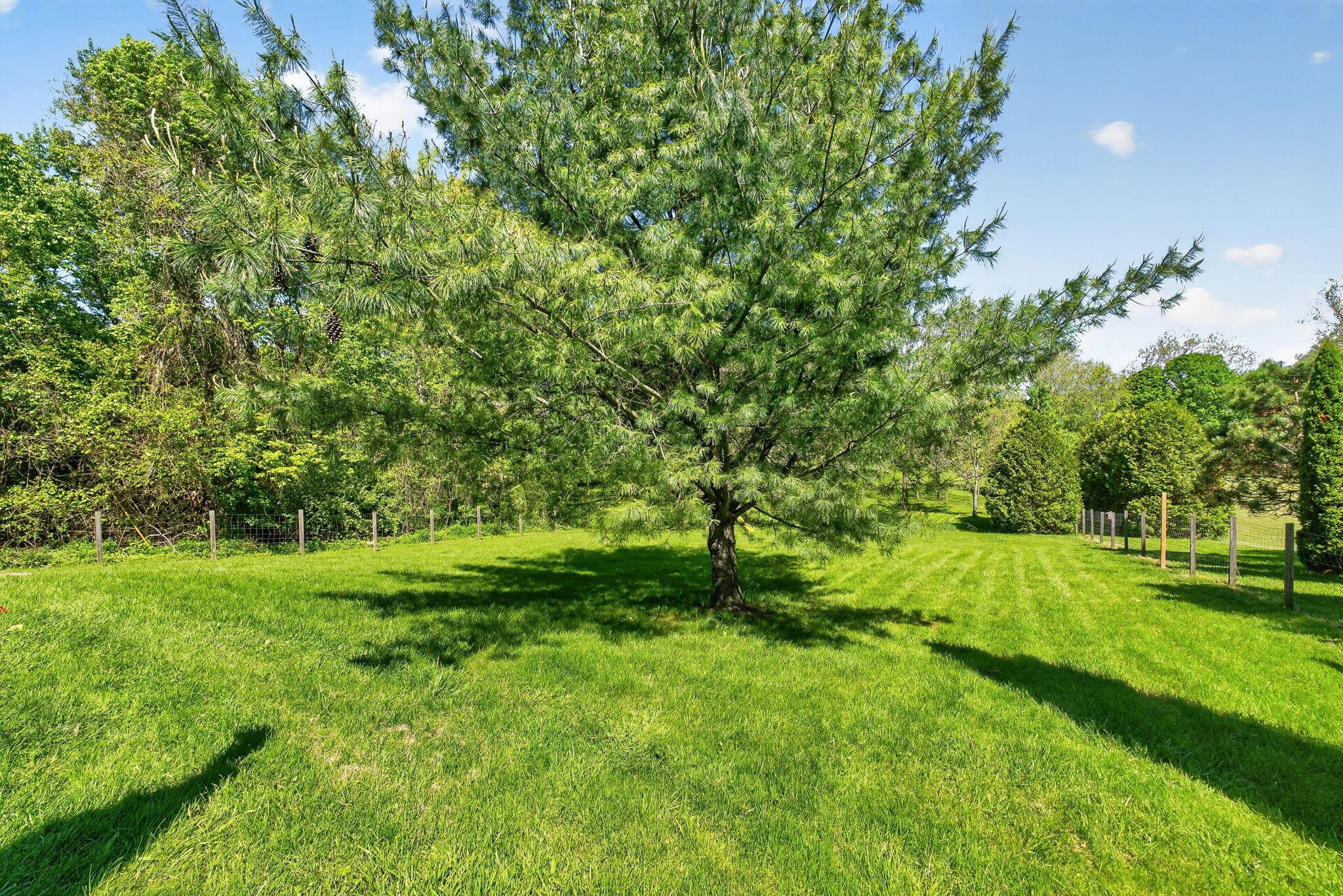 8960 Mills Road Property Photo 20
