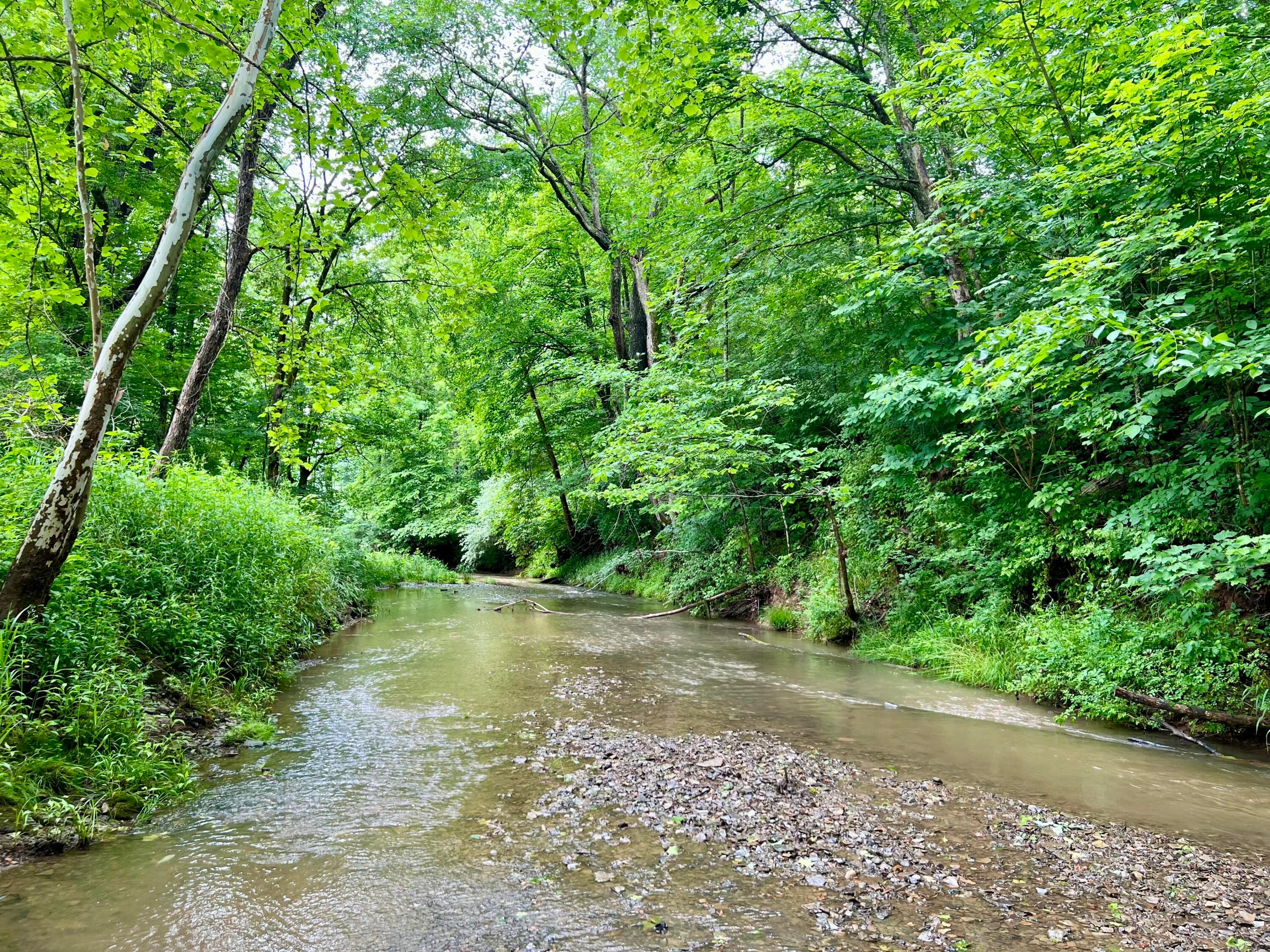 7455 Old Grade Road Property Photo 5