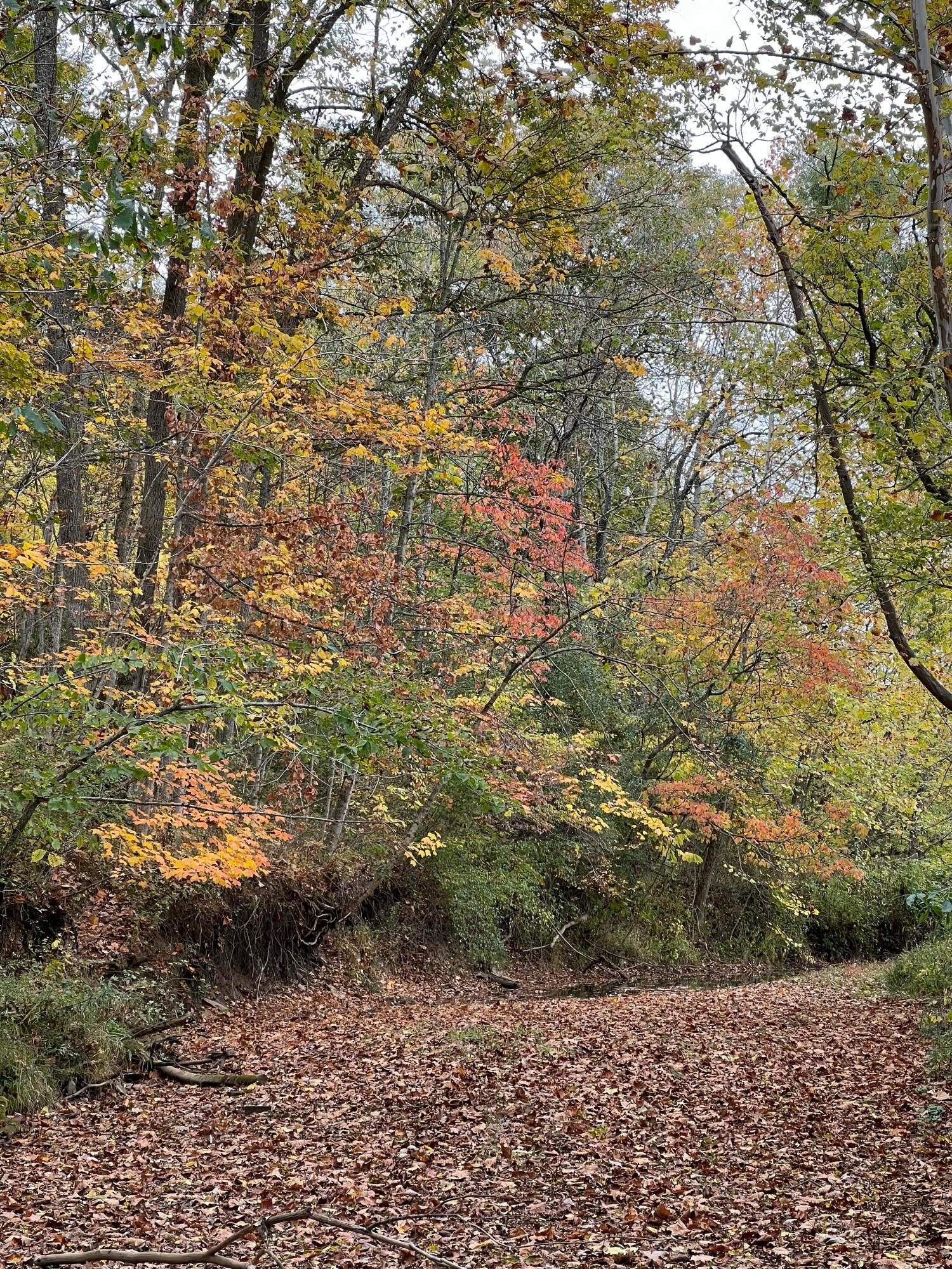 7455 Old Grade Road Property Photo 18