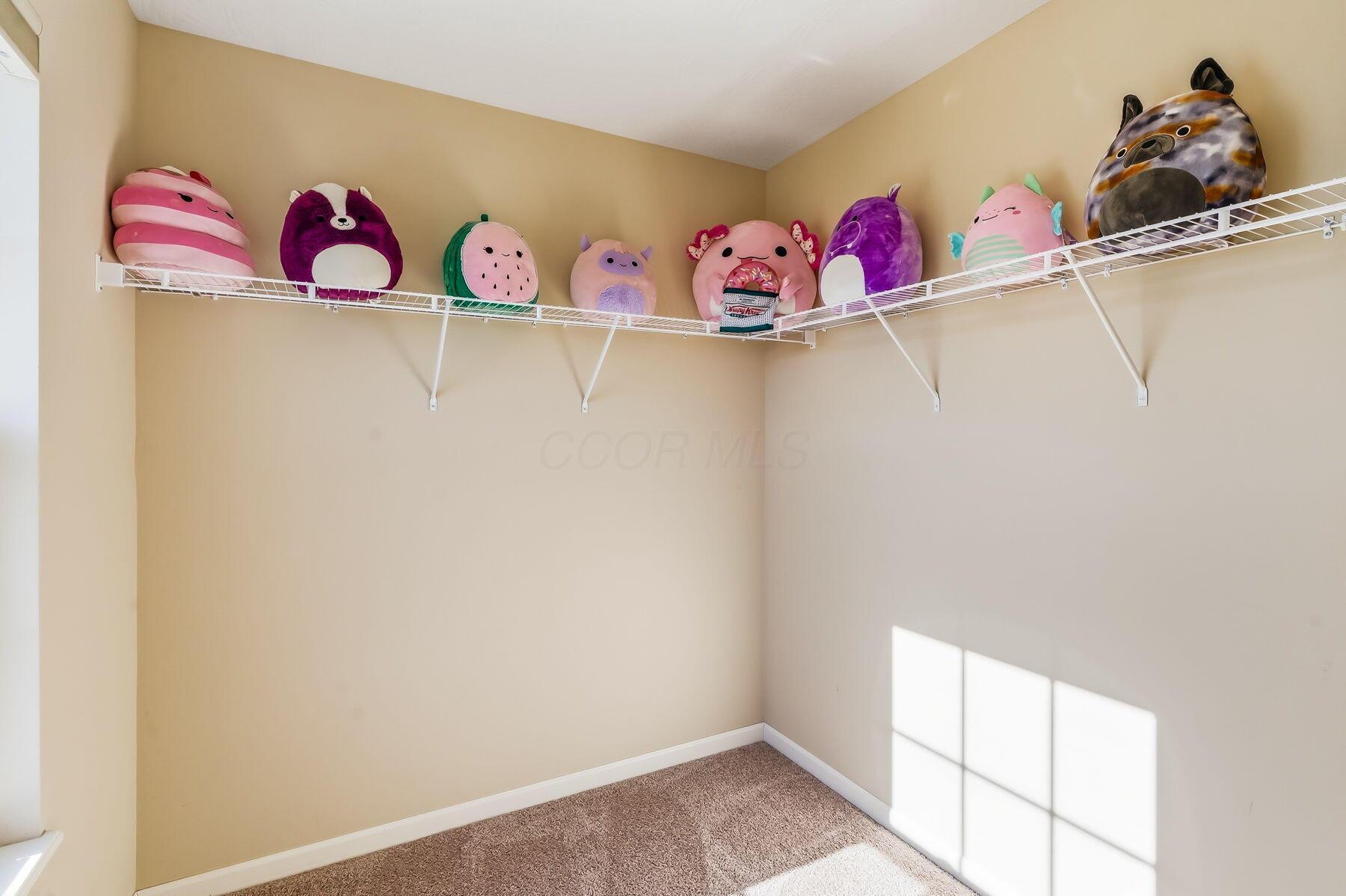 303 Ben Curtis Drive Property Photo 42