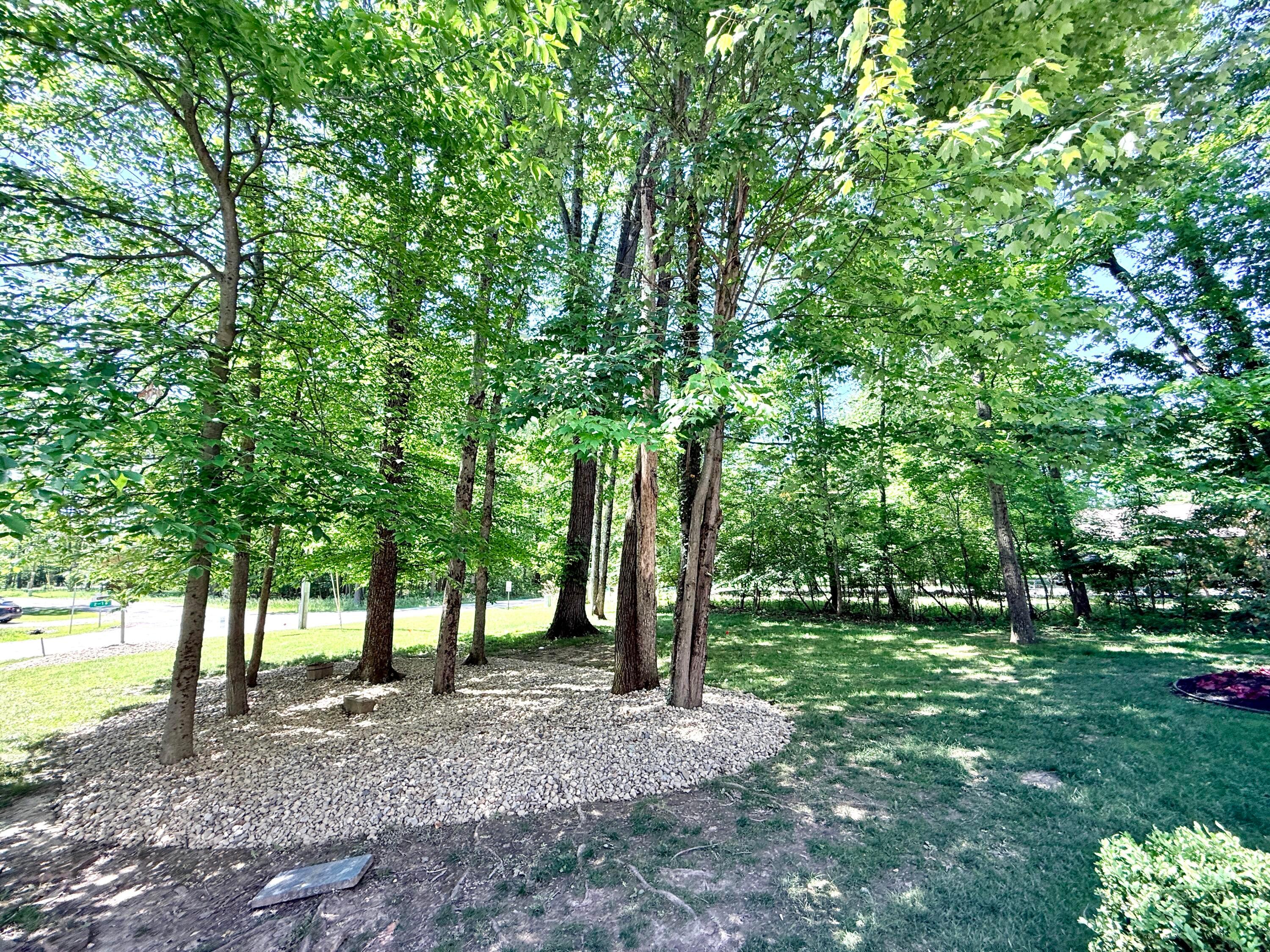 7326 State Route 19, Unit 2 Property Photo 7