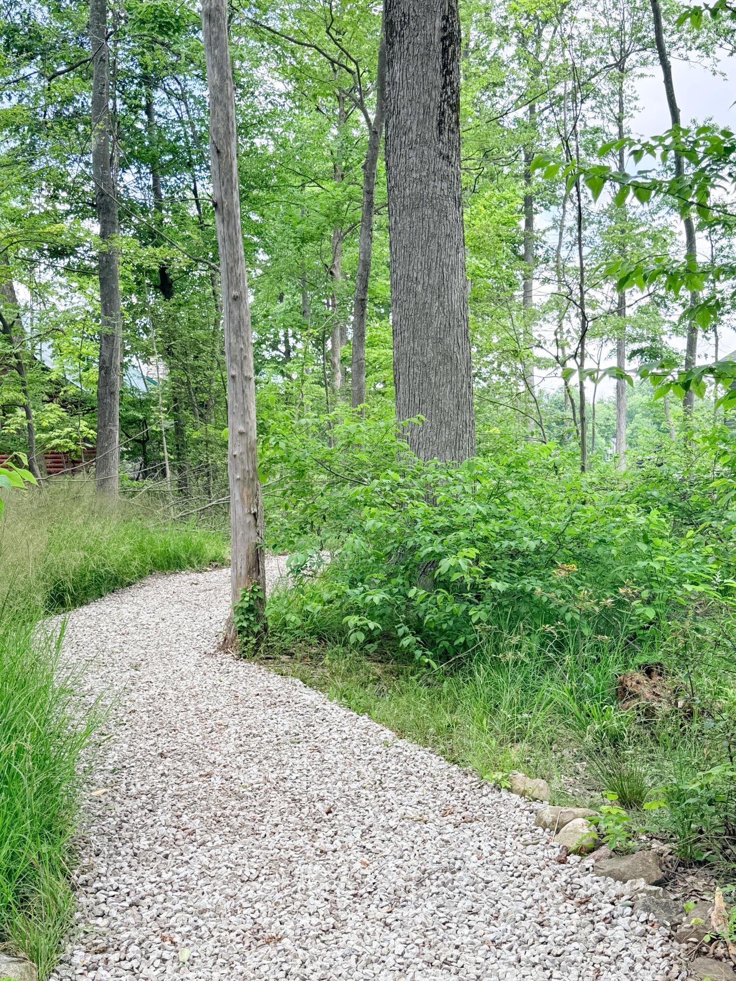 7326 State Route 19, Unit 2 Property Photo 15