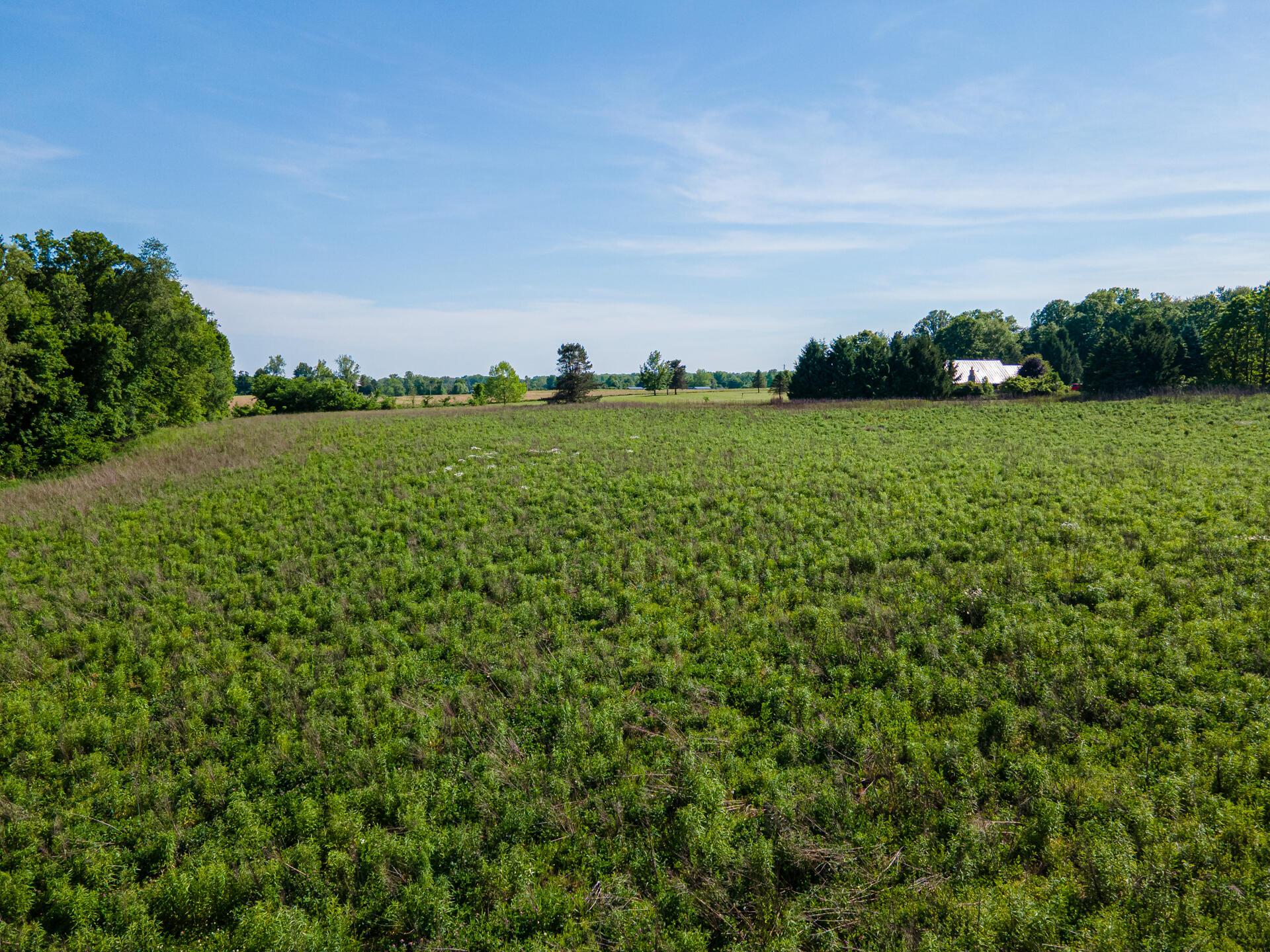 5329 Township Road 115 Property Photo 51