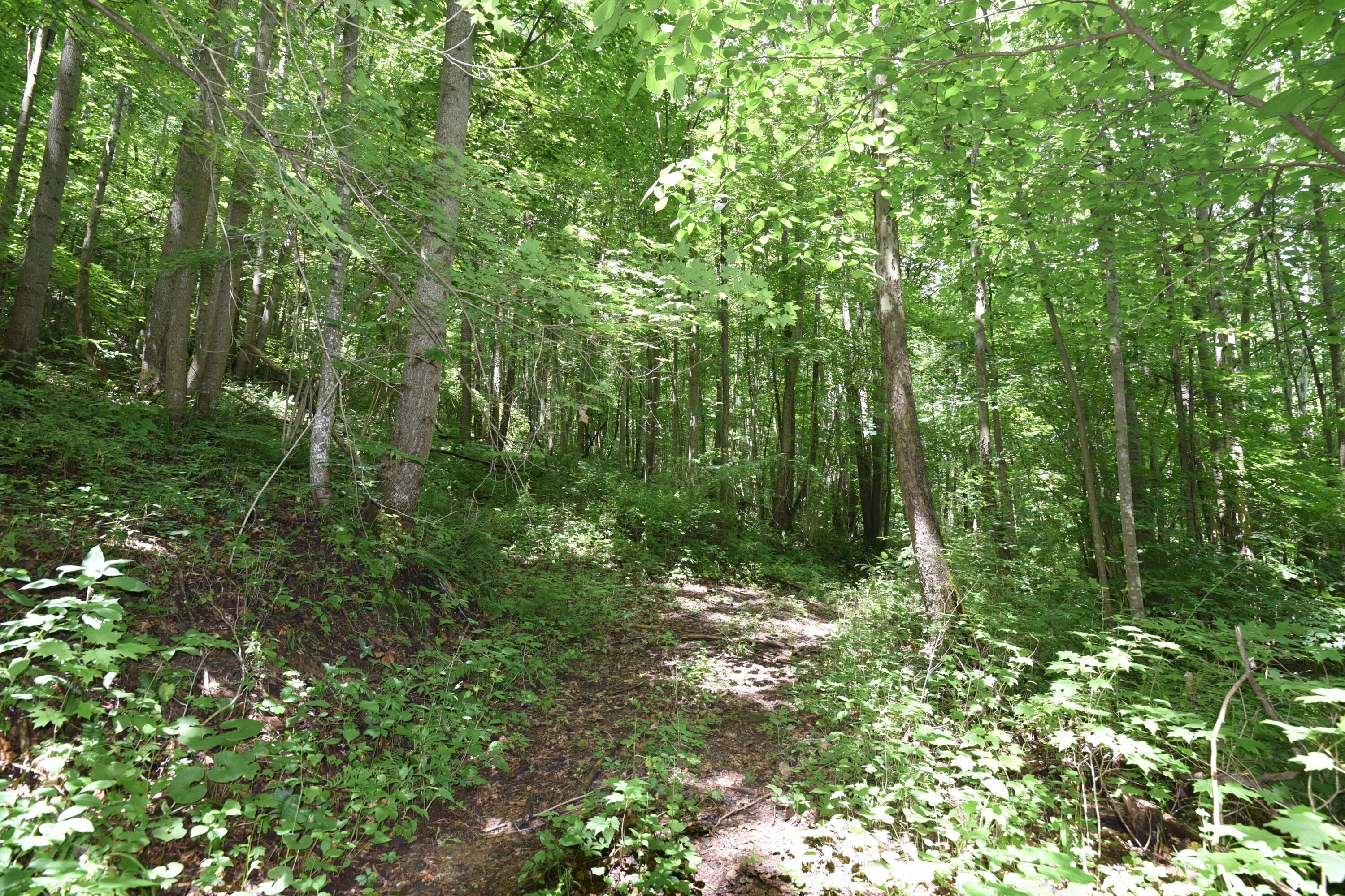 23769 State Route 327 Property Photo 1