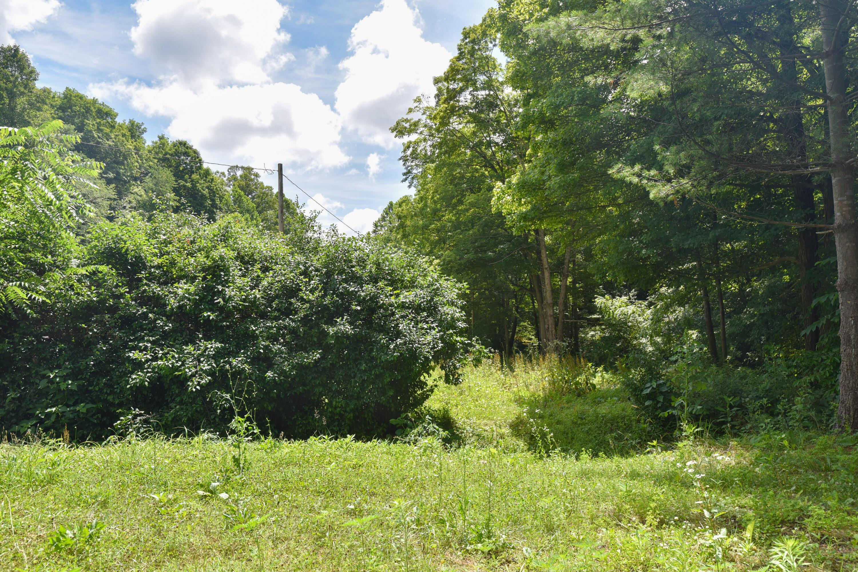 23769 State Route 327 Property Photo 7