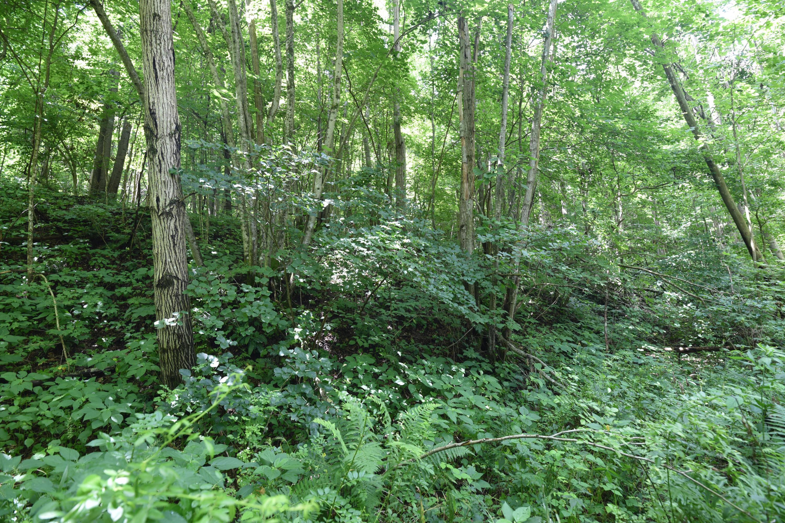 23769 State Route 327 Property Photo 14
