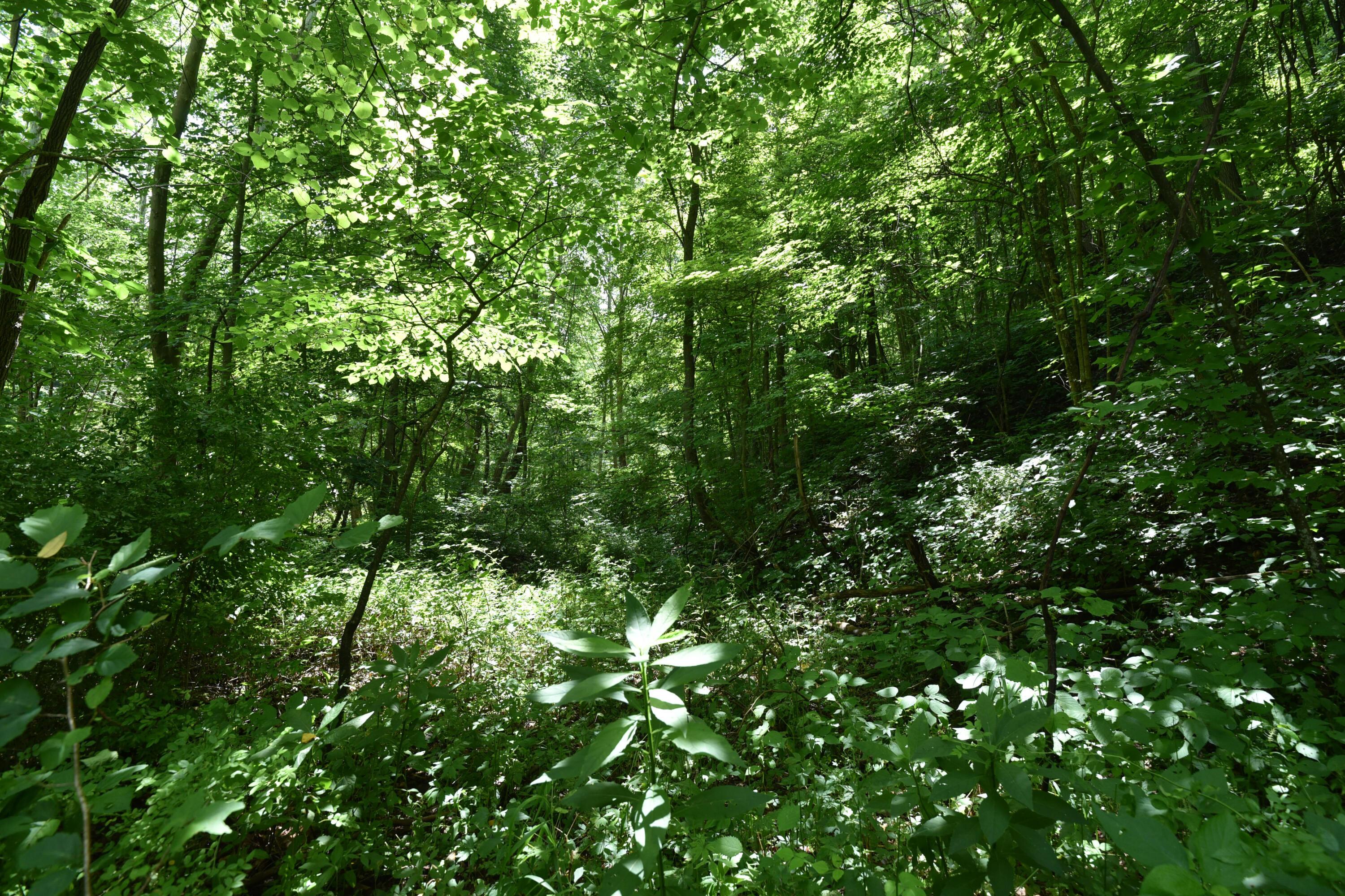 23769 State Route 327 Property Photo 15