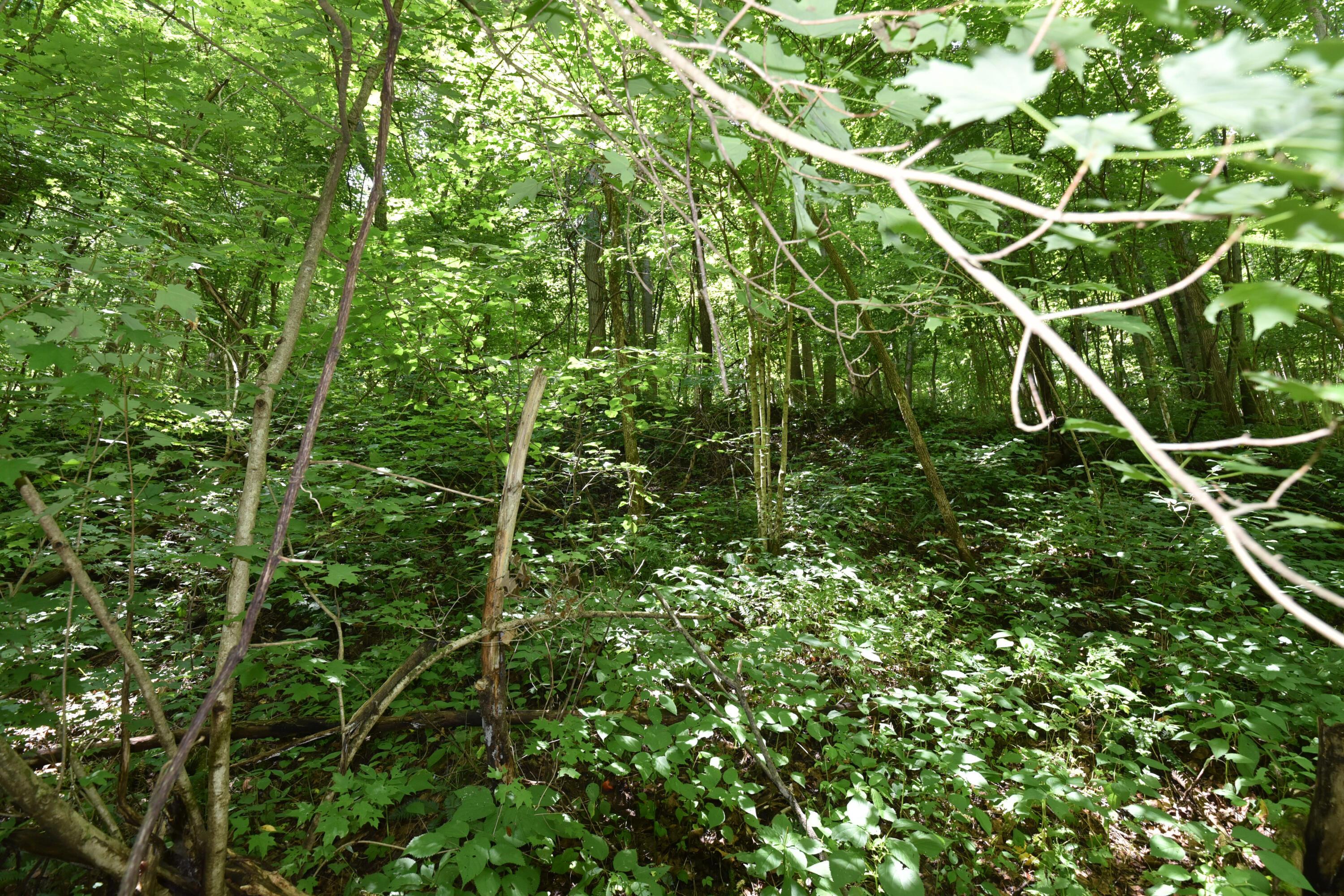 23769 State Route 327 Property Photo 17