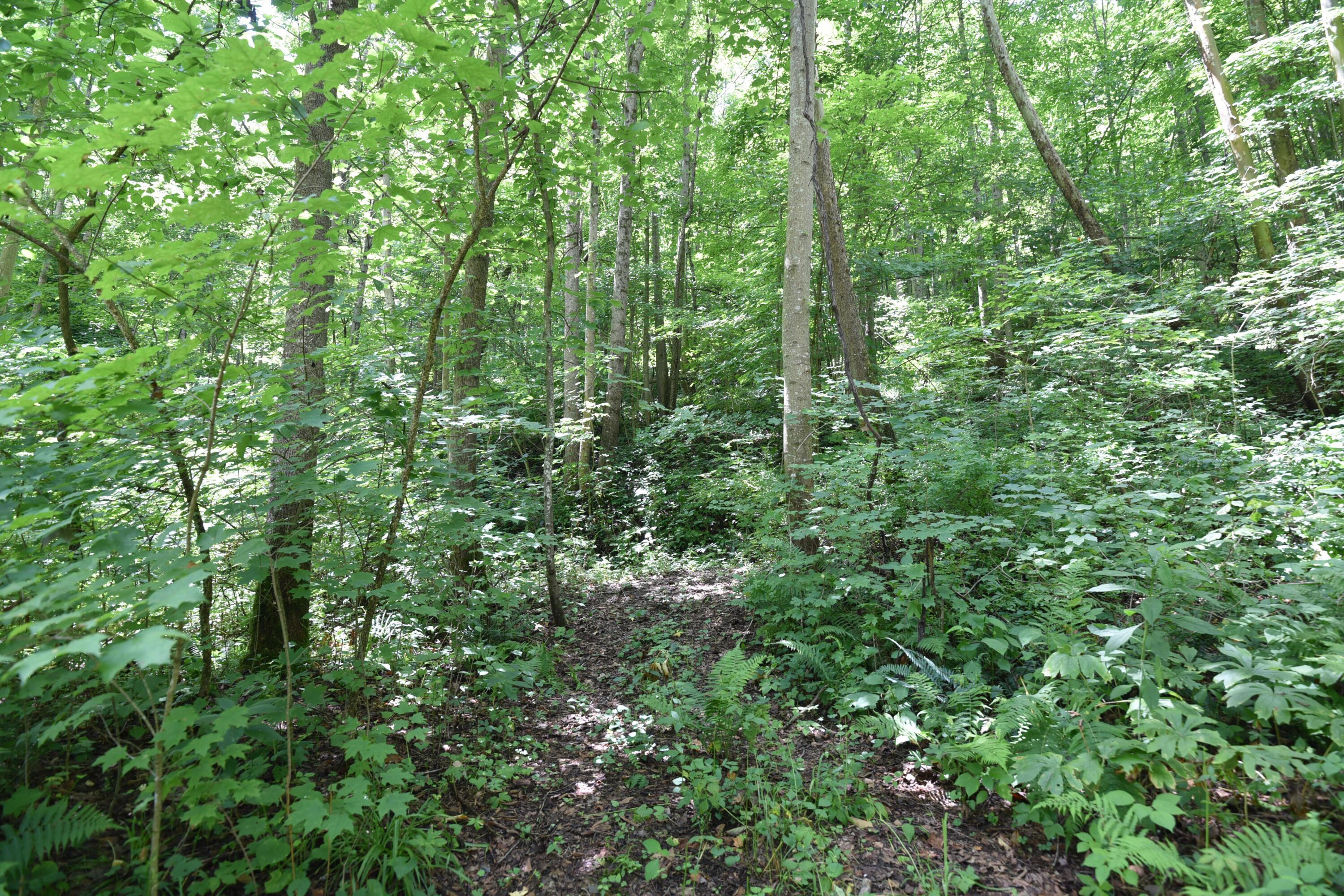 23769 State Route 327 Property Photo 19