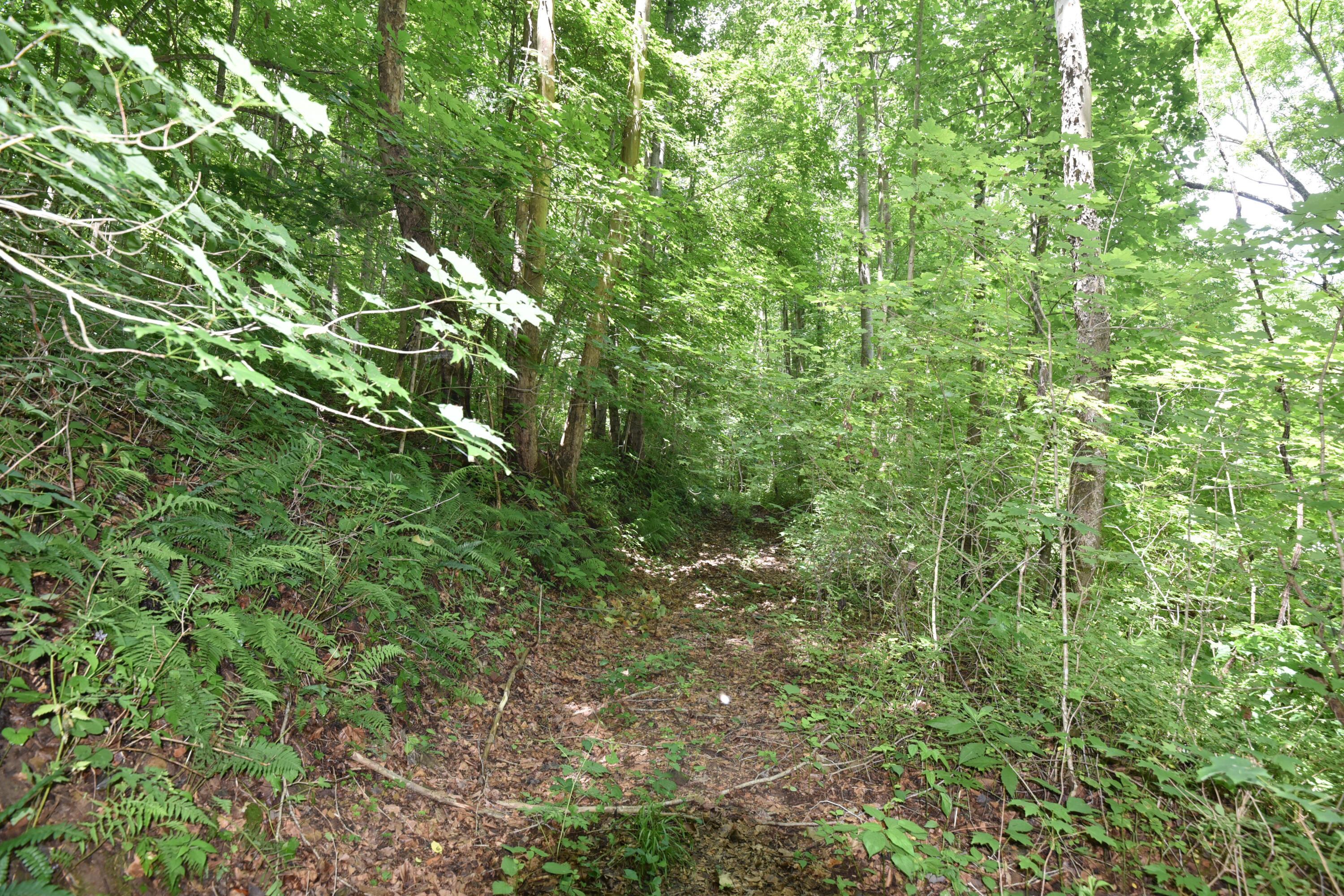 23769 State Route 327 Property Photo 20