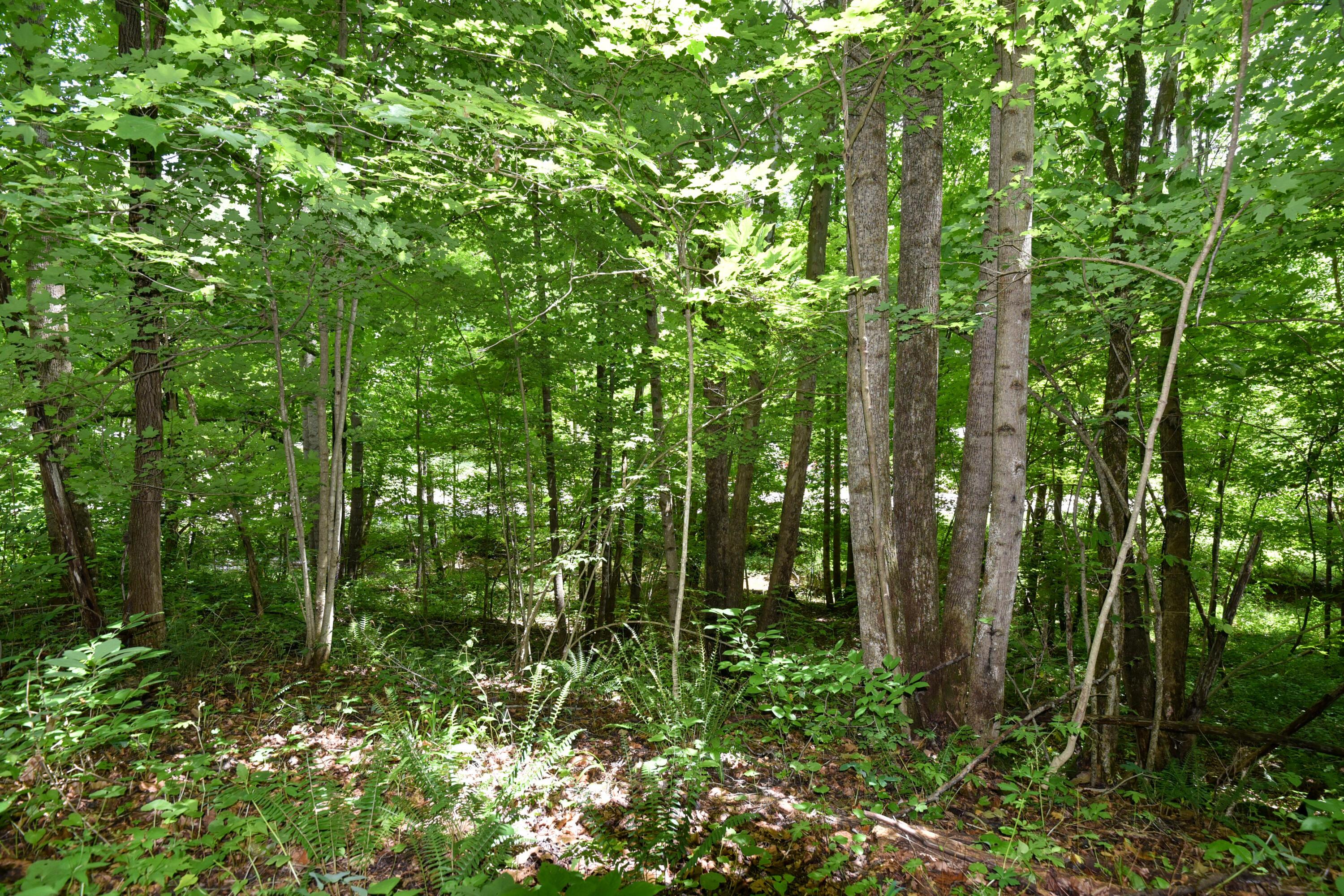 23769 State Route 327 Property Photo 21