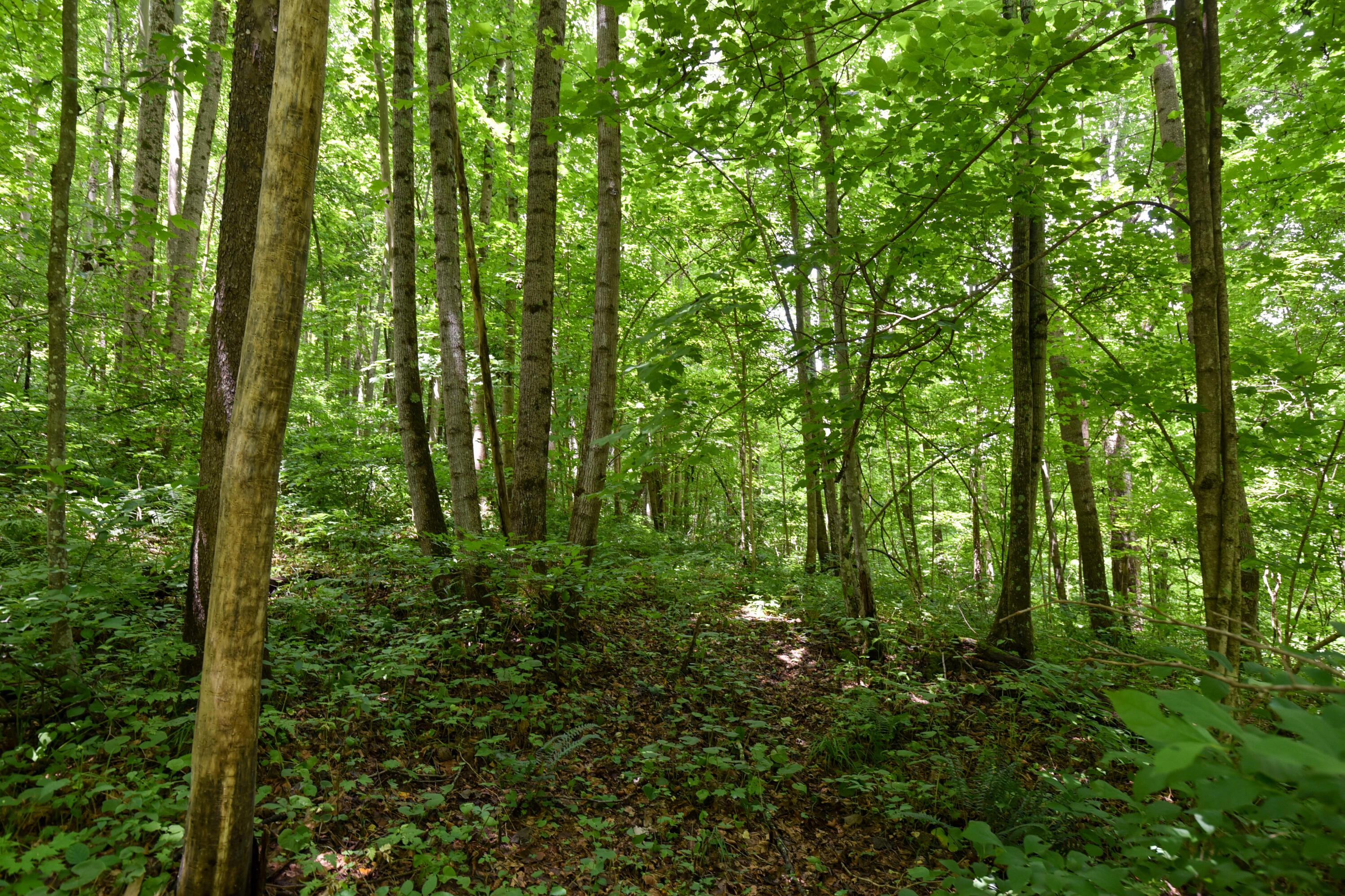 23769 State Route 327 Property Photo 22