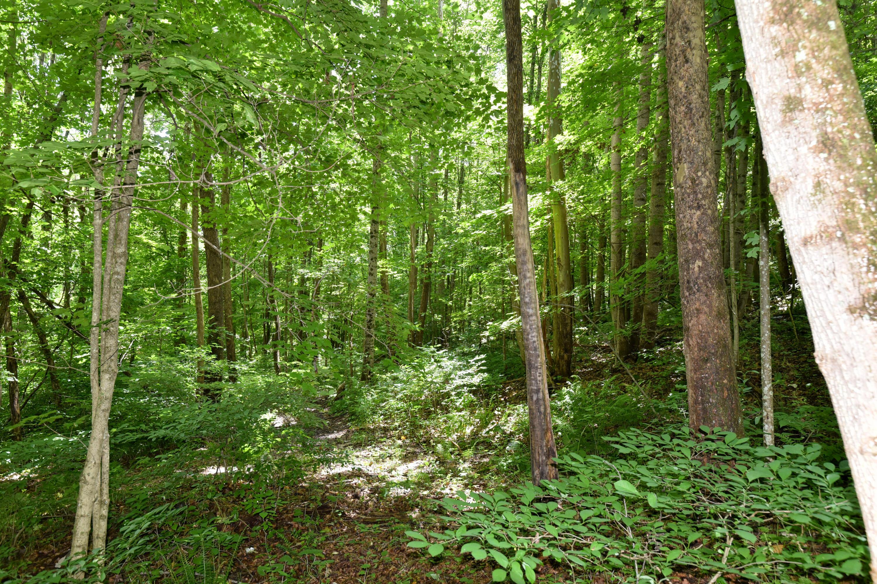 23769 State Route 327 Property Photo 23