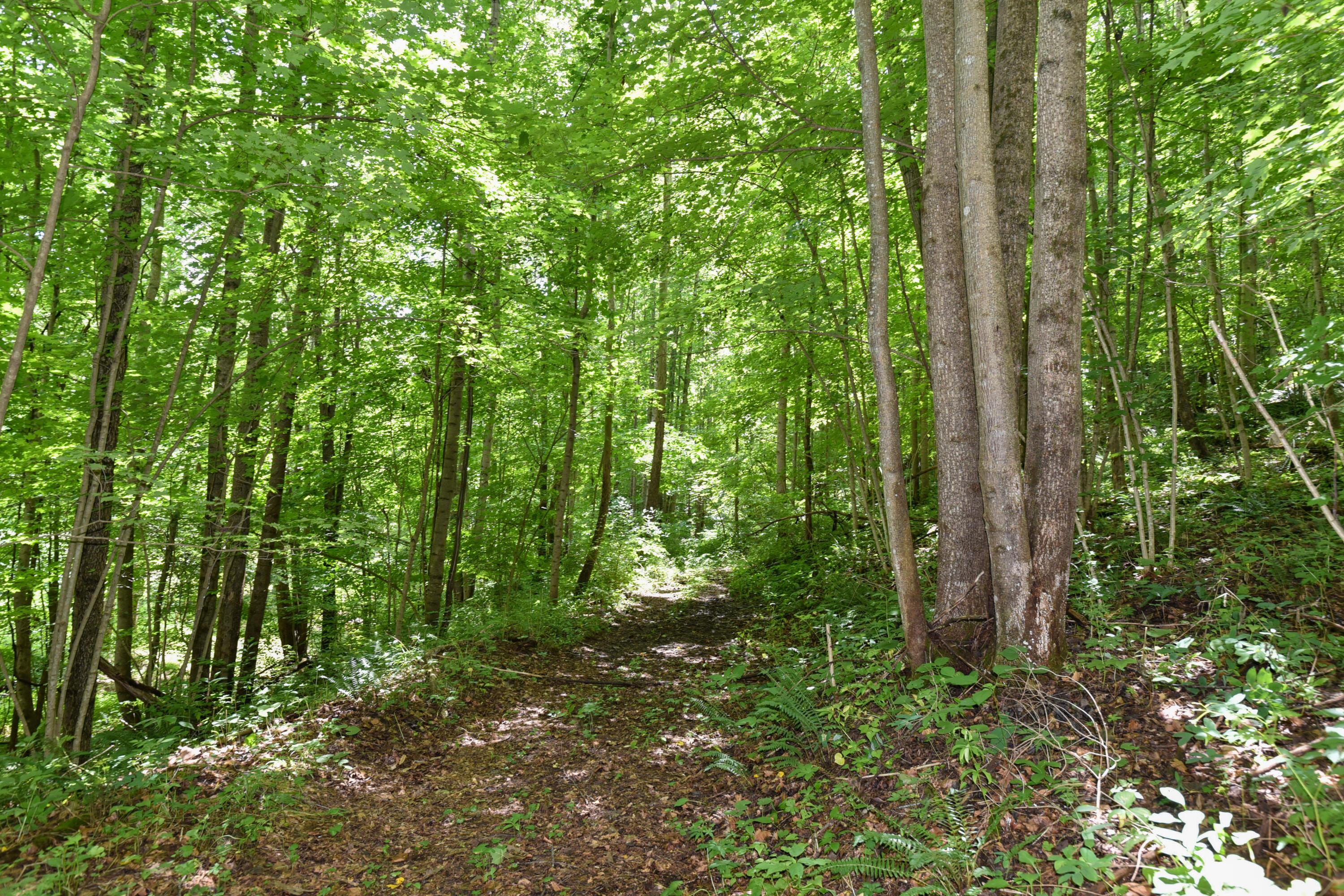 23769 State Route 327 Property Photo 24