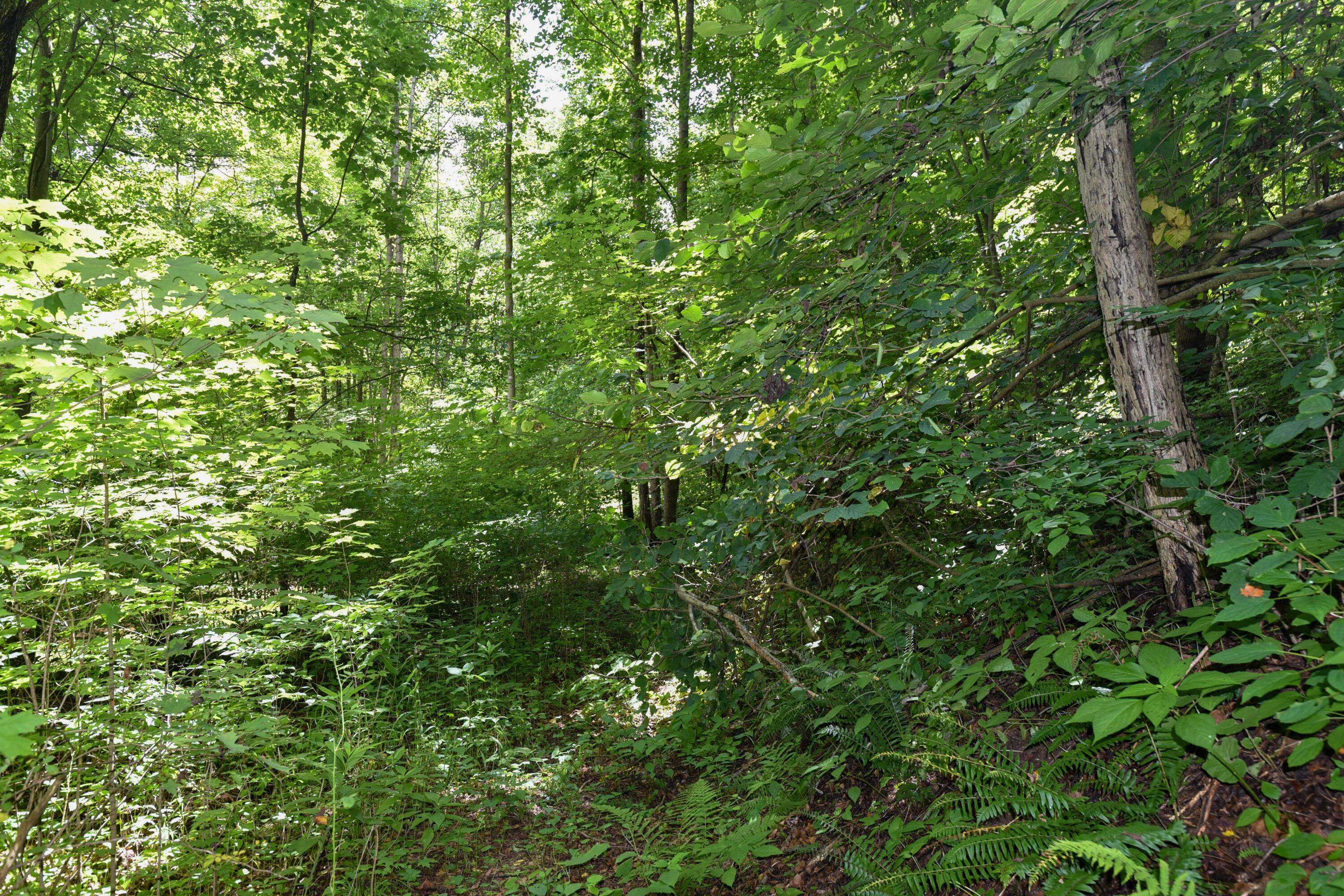 23769 State Route 327 Property Photo 25